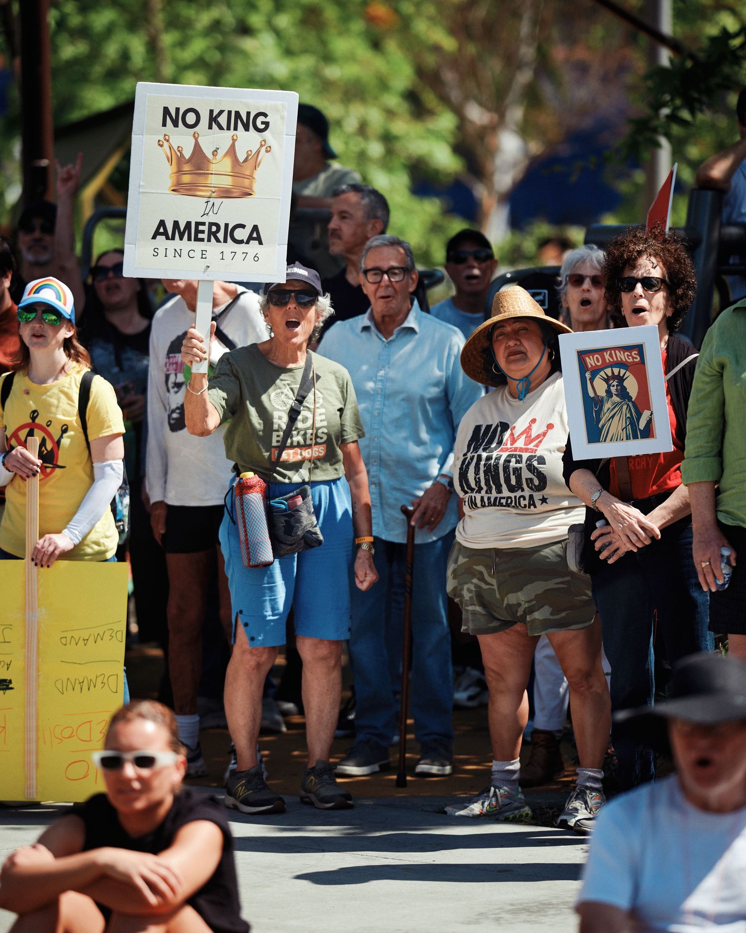 Protesters gather at West Hollywood Park during the No Kings day of action, March 28, 2026. (Afonso Salcedo)