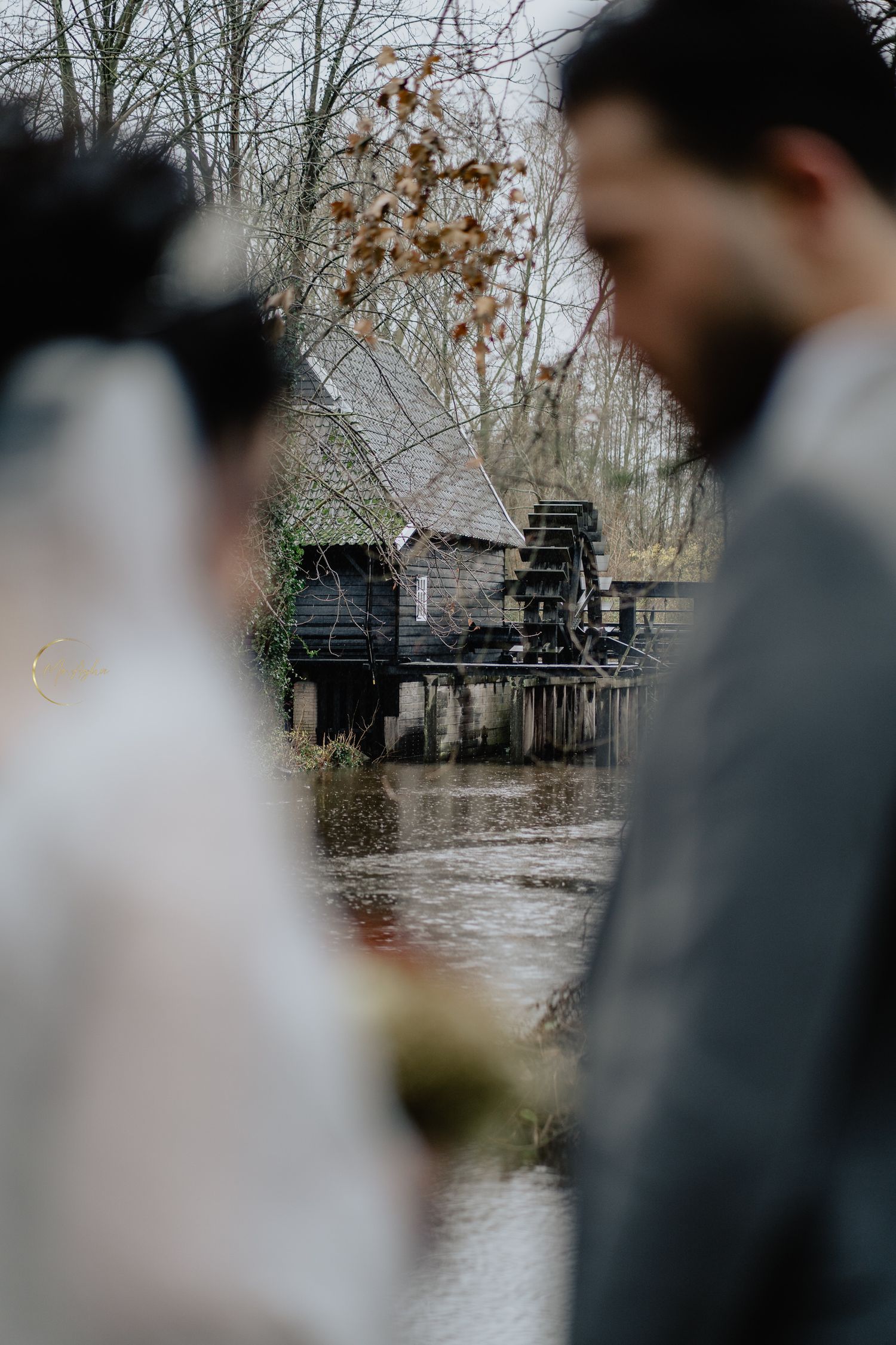 a wedding couple shot showing the nature behind