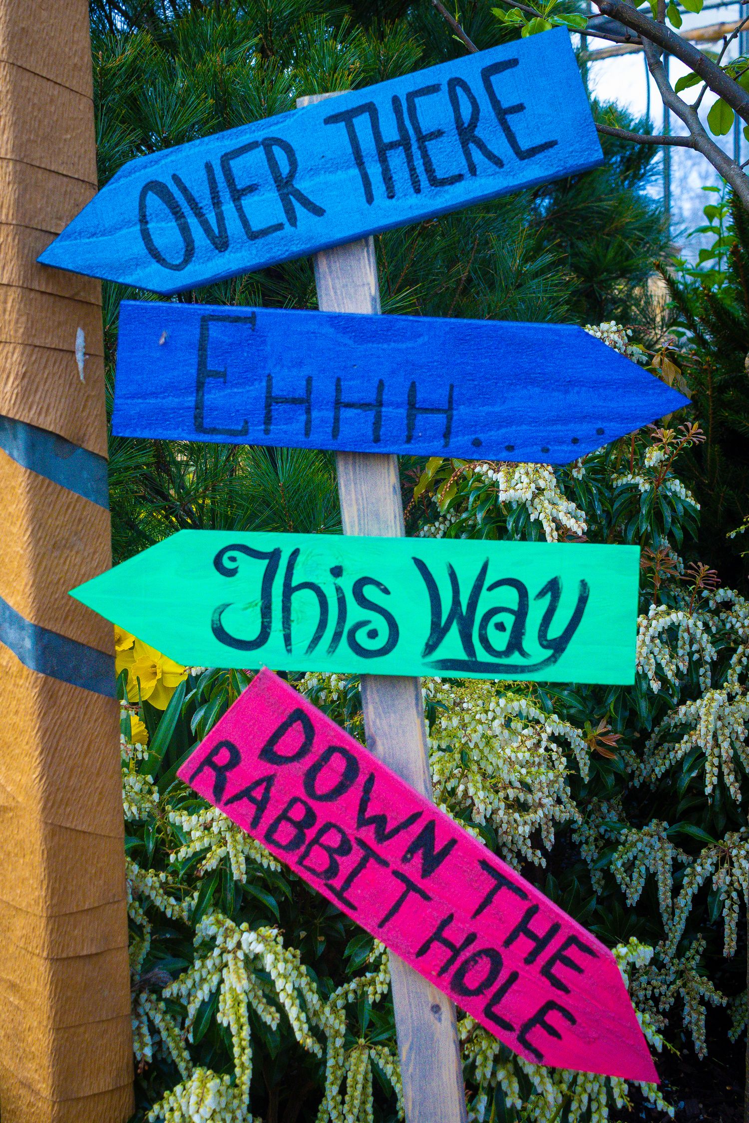 Colorful directional signs including 'Over There', 'This Way' and 'Down The Rabbit Hole' on a wooden post.