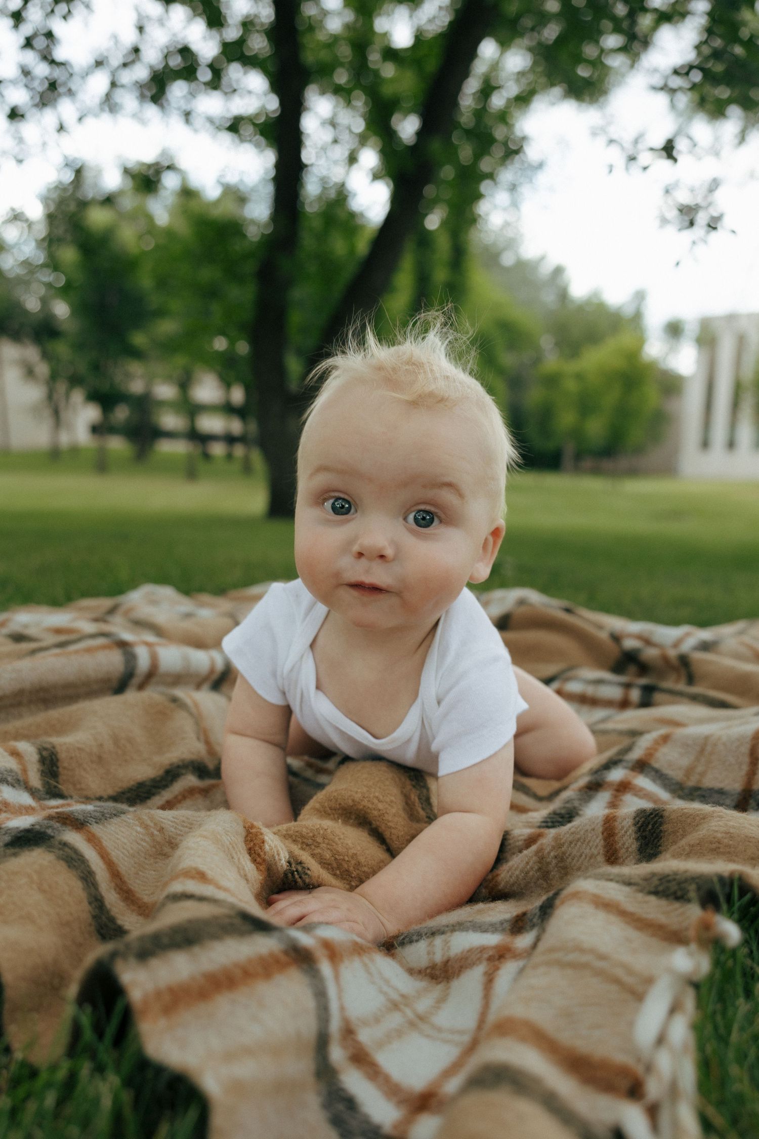 baby crawling towards camera on blanket on the capitol grounds in Bismarck North Dakota