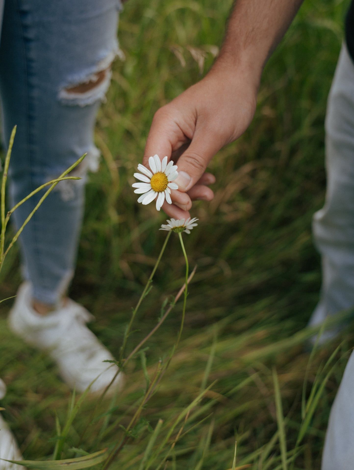 man picking flower for his girl in spearfish south dakota
