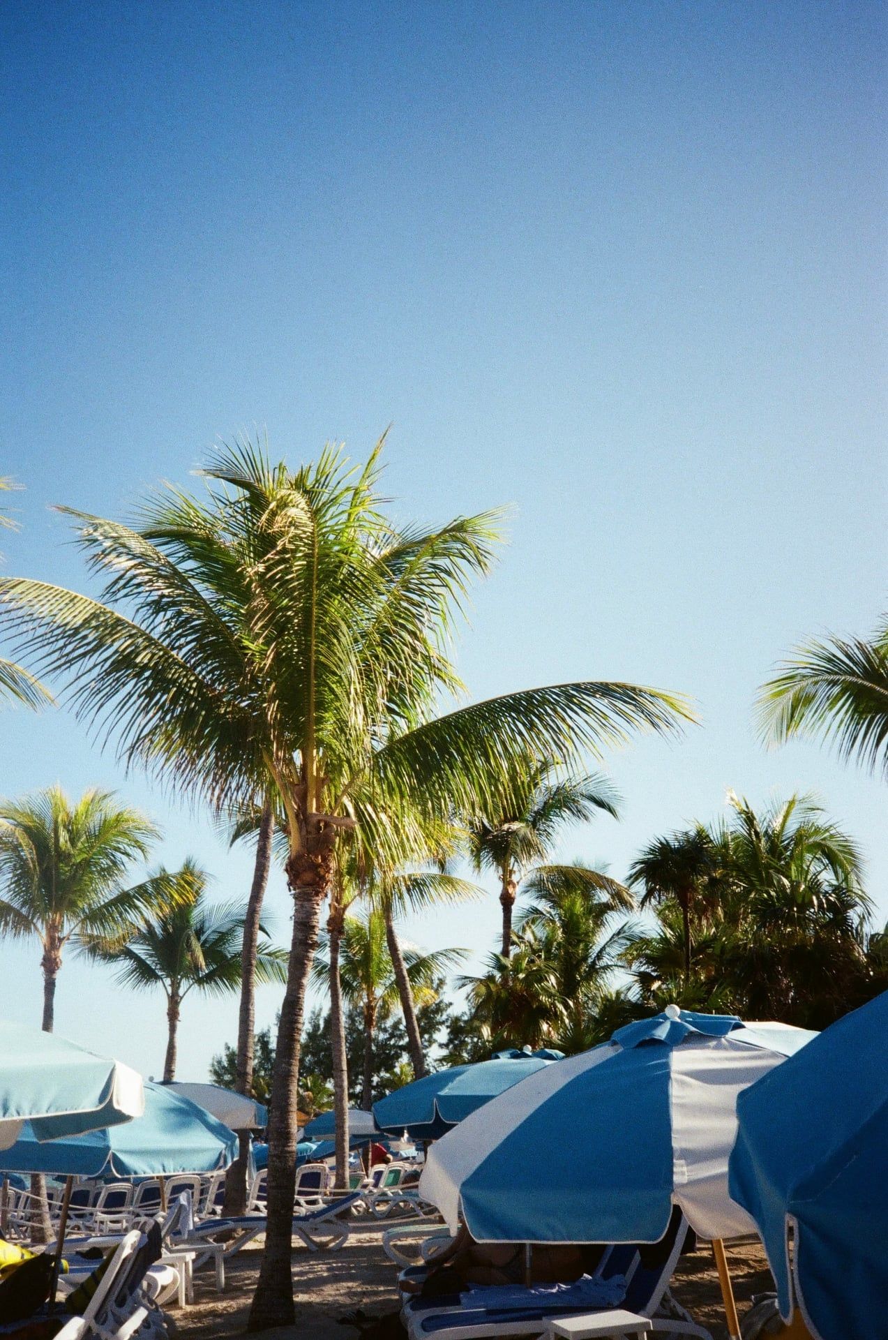 Dayna, wedding and lifestyle photographer's honeymoon photo