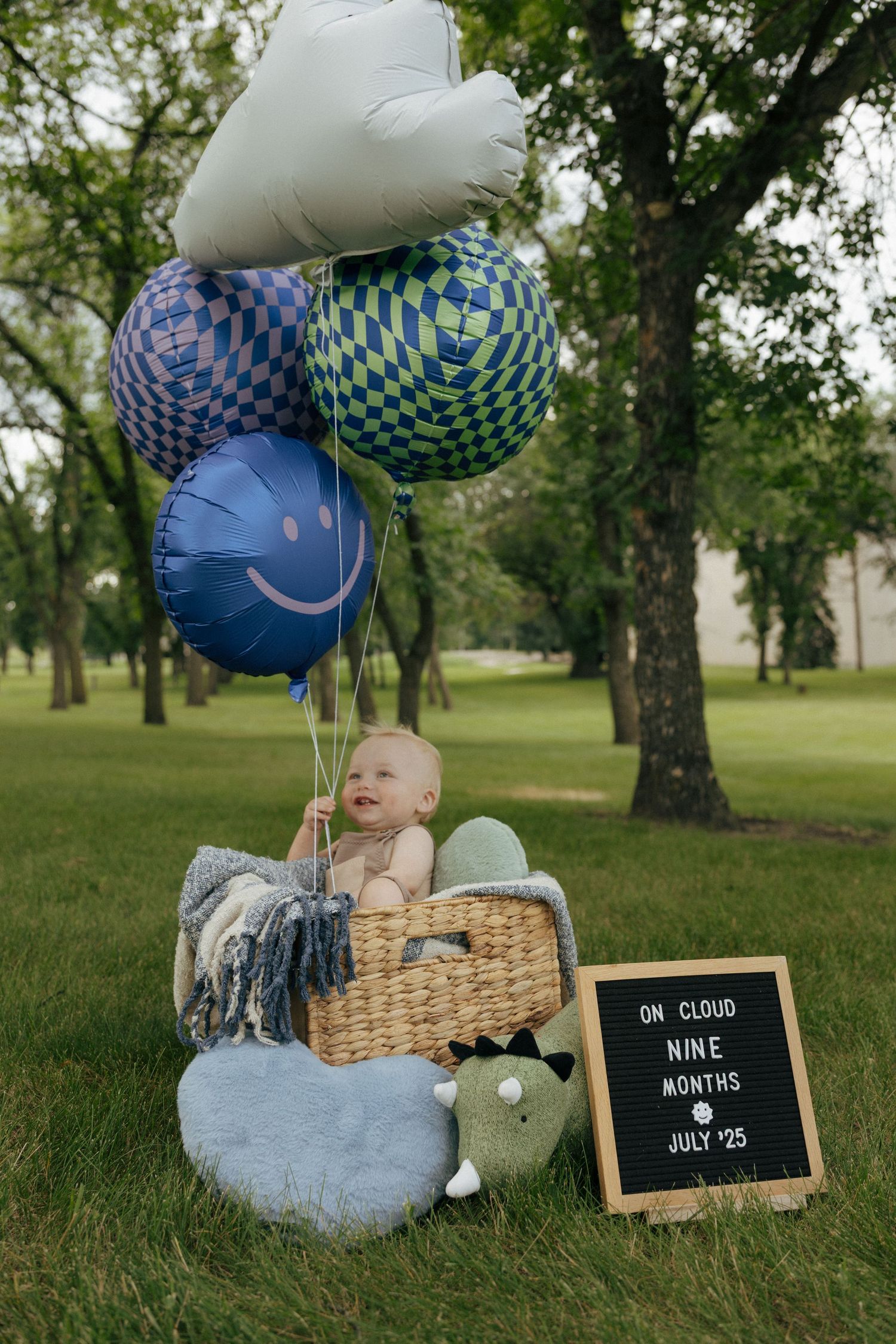 baby in basket with balloons and sign that says 