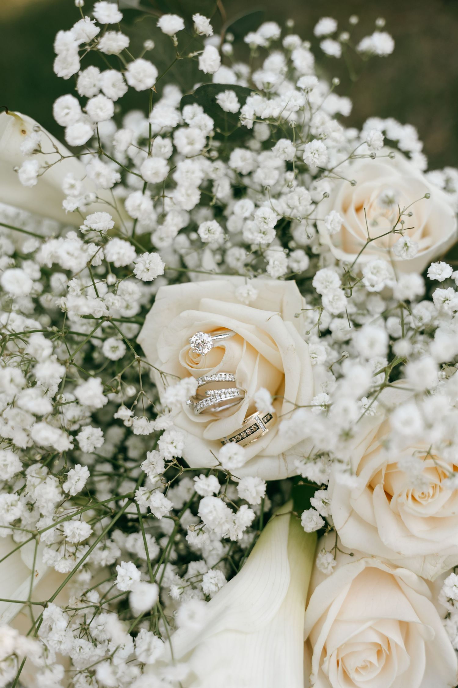 Wedding rings nestled in white roses and baby's breath bouquet, elegant bridal floral arrangement with diamond engagement ring.
