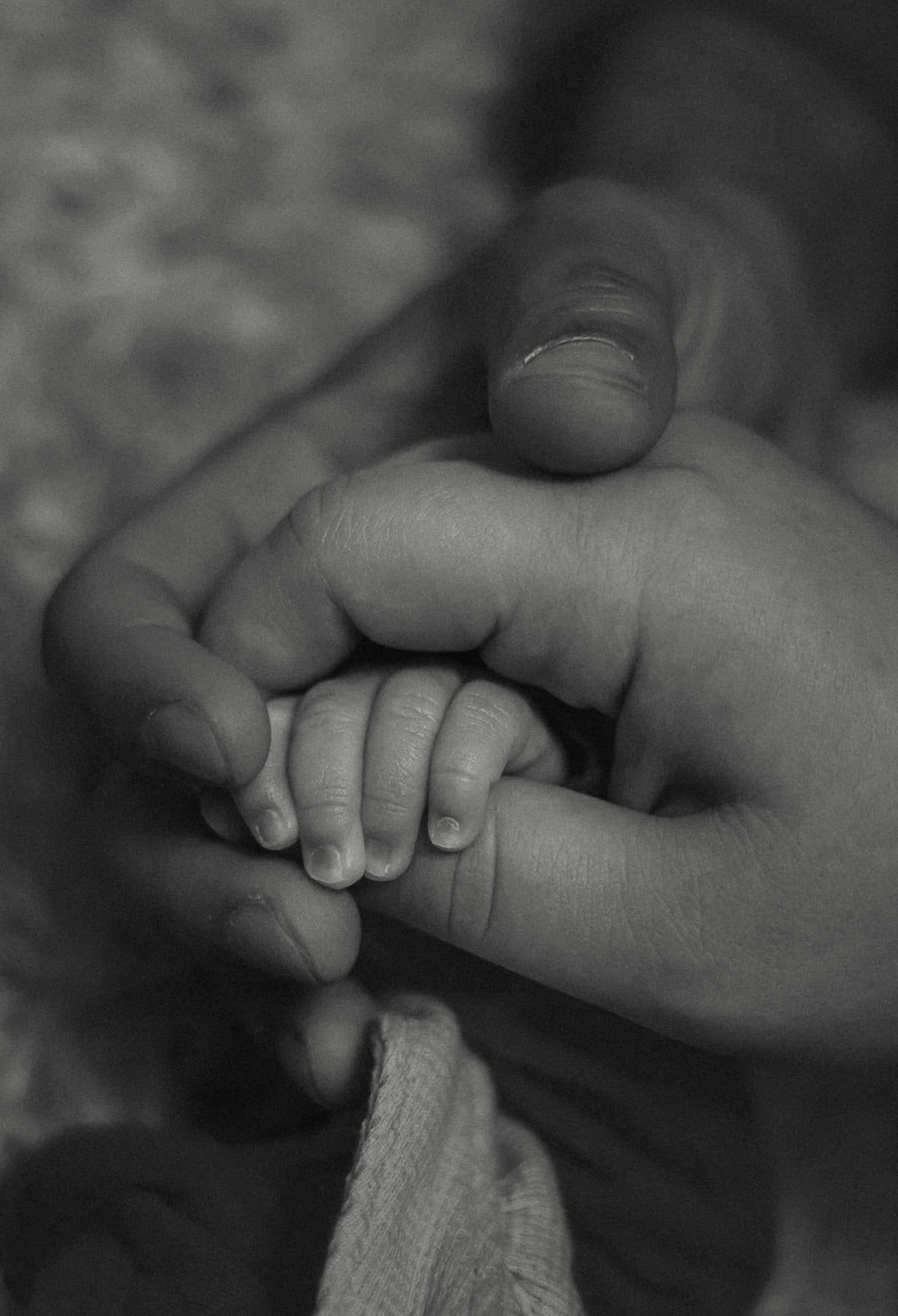 newborn hand cradled in both mom and dads hands