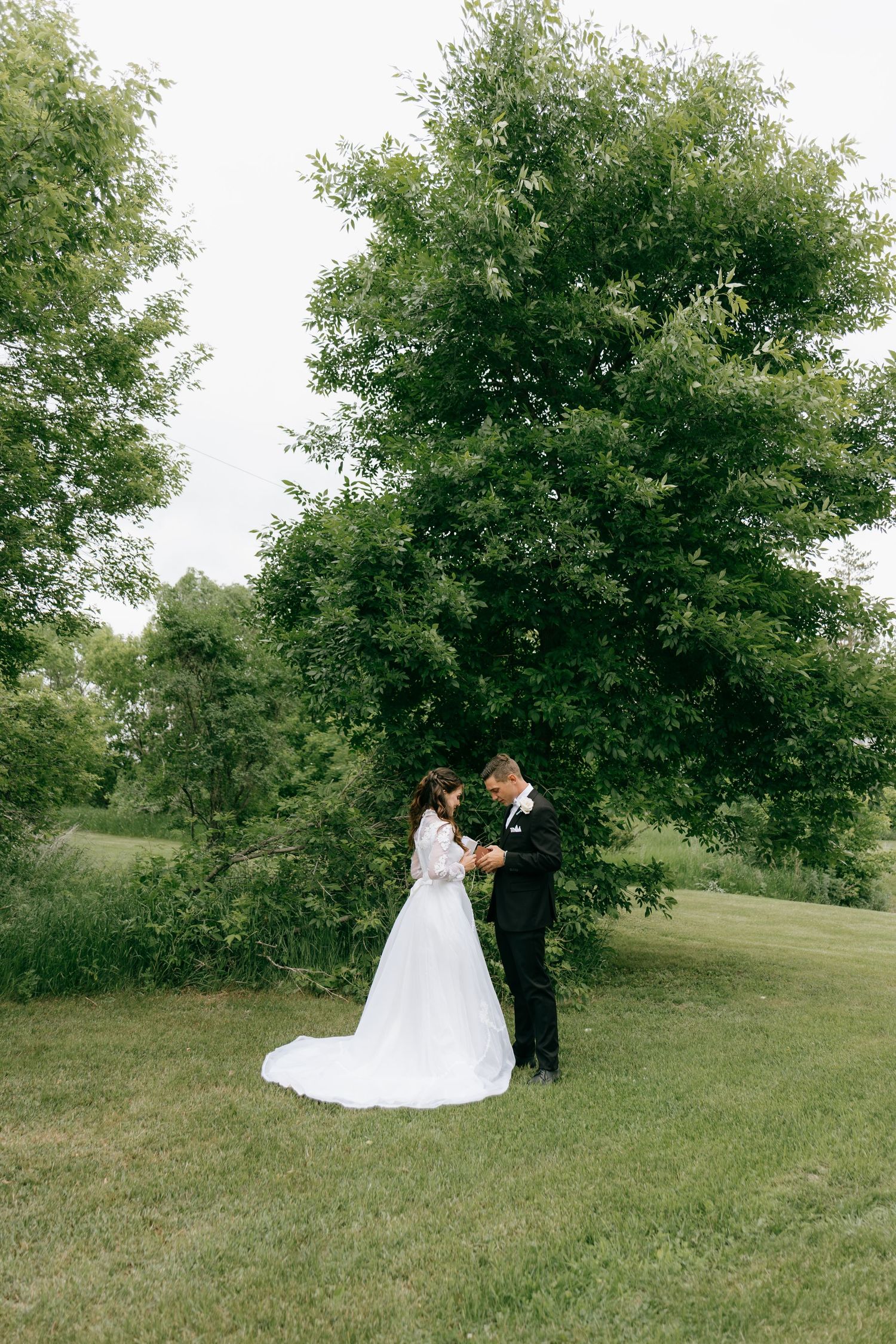 A bride in a white gown and groom in a black suit hold hands outdoors near a large green tree on their wedding day.