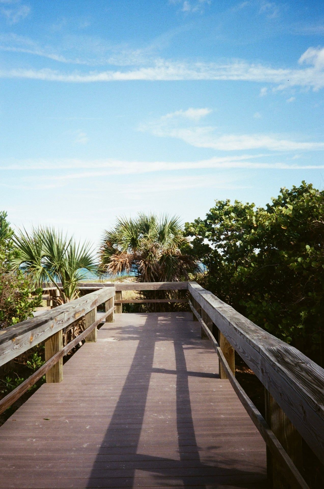 Dayna, wedding and lifestyle photographer's honeymoon photo