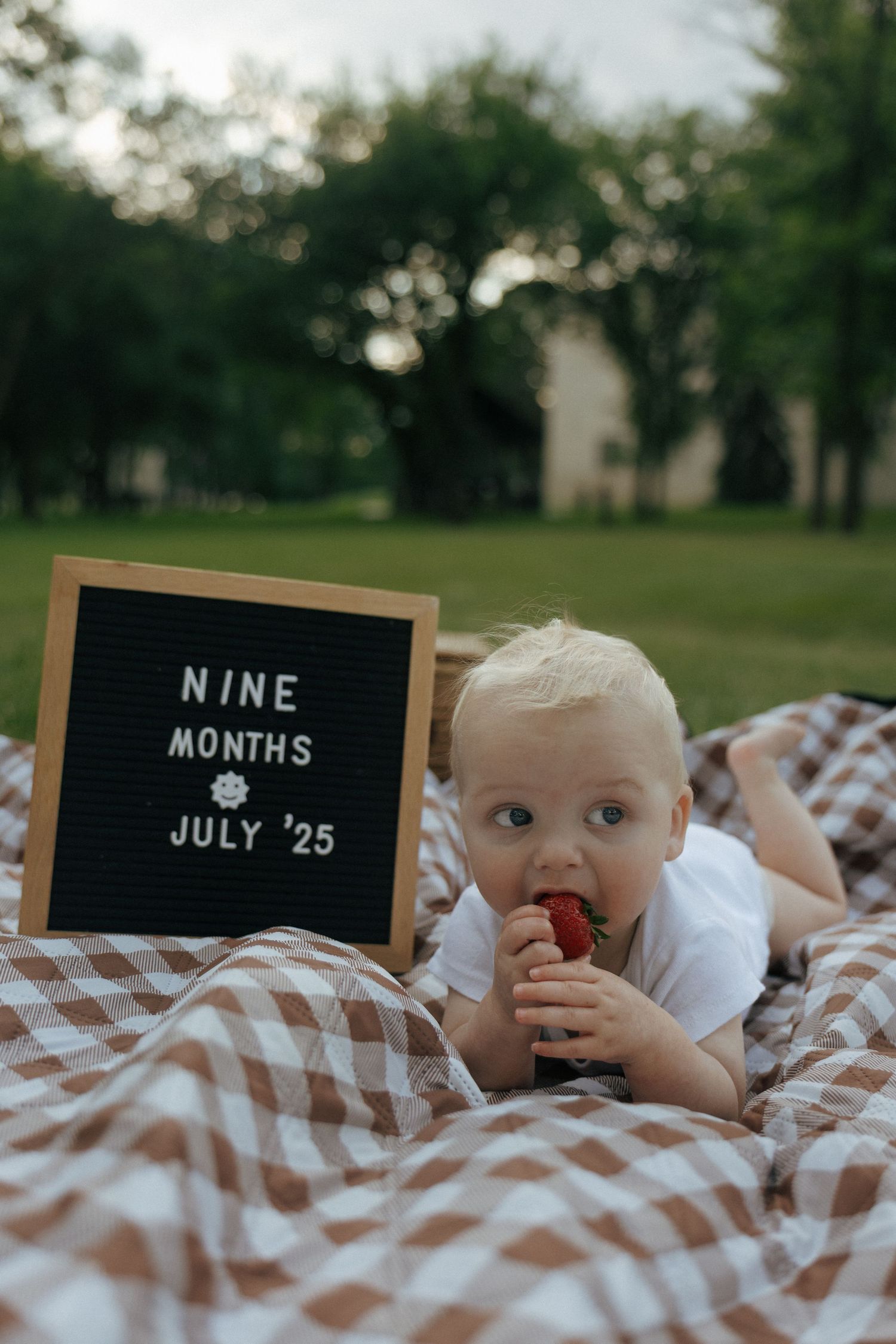 baby celebrating nine months old with picnic and fruit