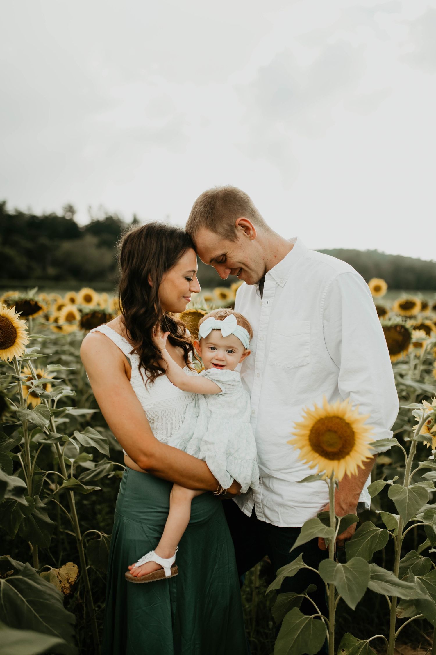 A loving family poses together in a vibrant sunflower field during golden hour.