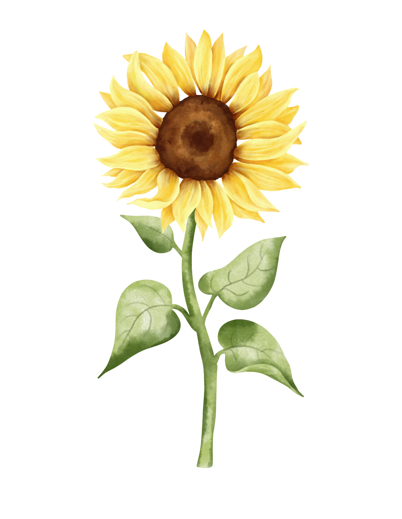 A watercolor illustration of a bright yellow sunflower with green leaves and stem against a white background.