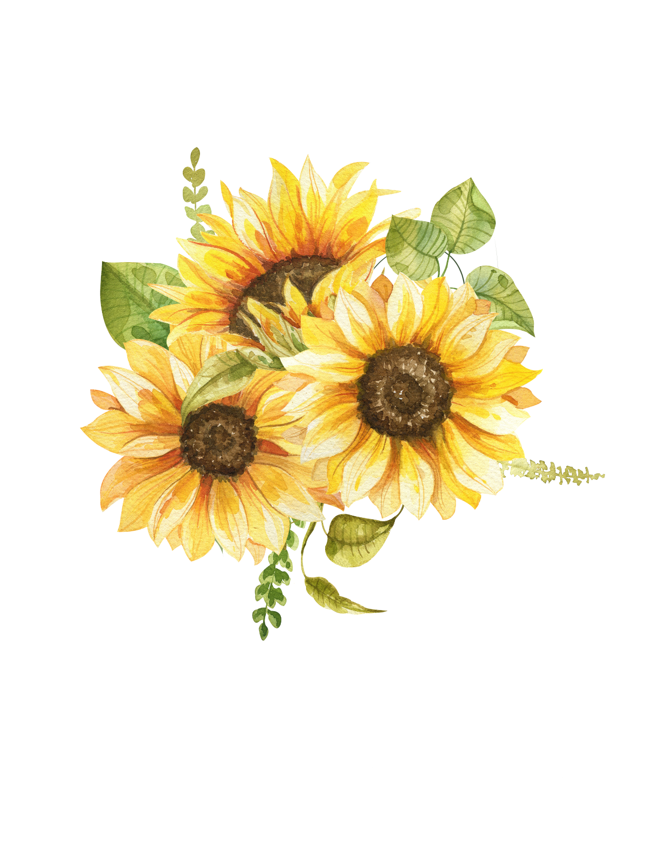 Watercolor illustration of three bright yellow sunflowers with green leaves and delicate ferns against a white background.