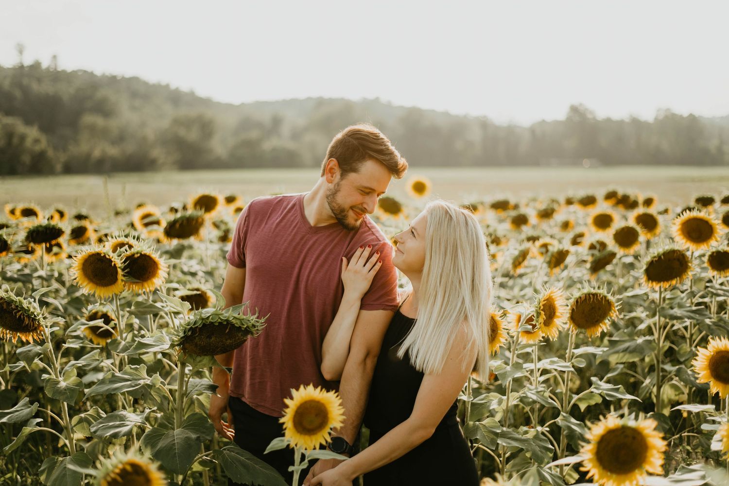 A couple embraces lovingly in a golden sunflower field during sunset, surrounded by blooming summer flowers.