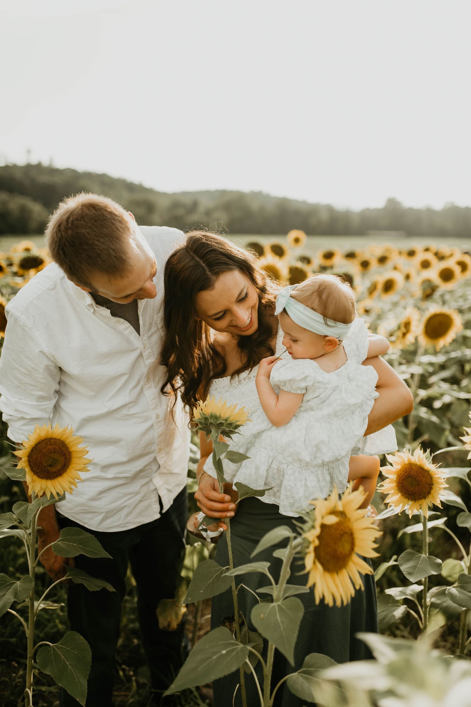 Family embracing in a golden sunflower field during sunset, surrounded by blooming flowers on a summer evening.