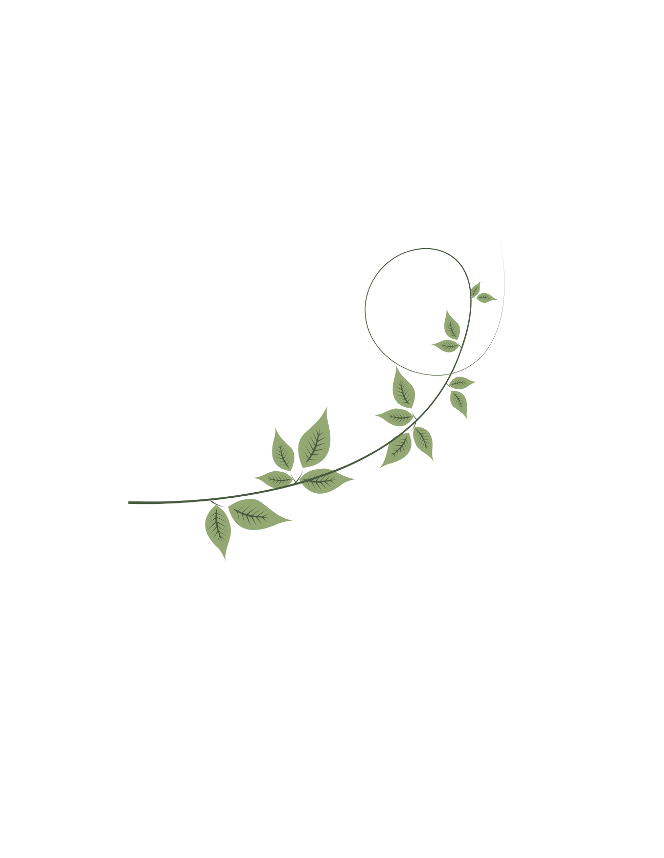 Simple decorative leafy twig branches with green leaves arranged in a minimalist design against white background.