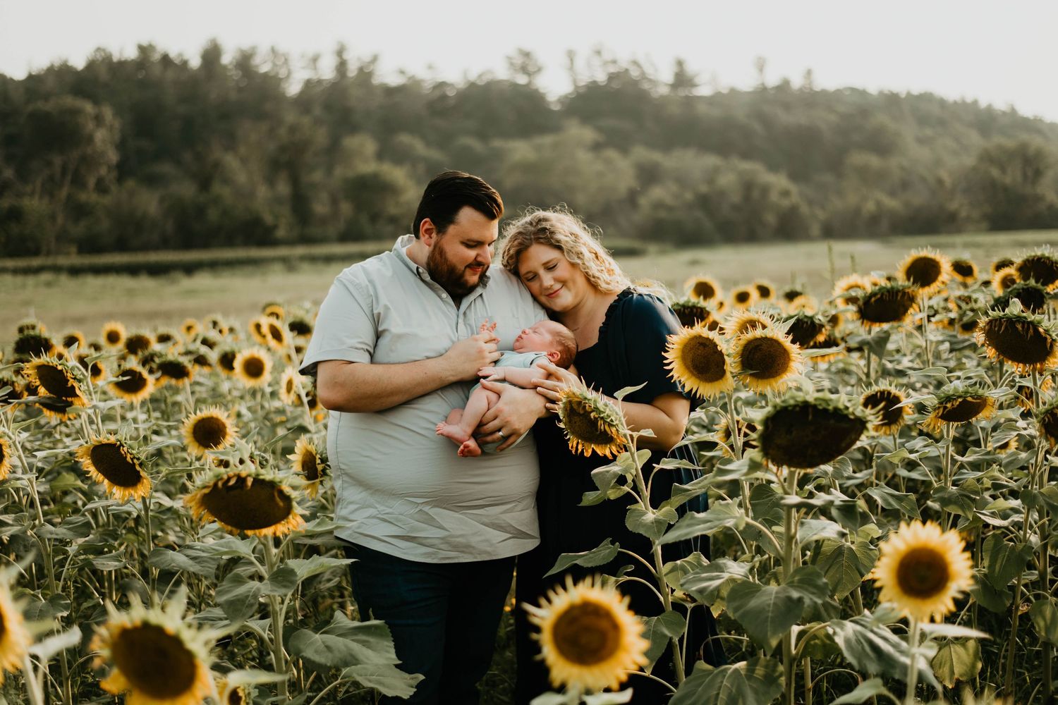 A romantic couple shares tender moments among vibrant blooming sunflowers in a golden summer field.