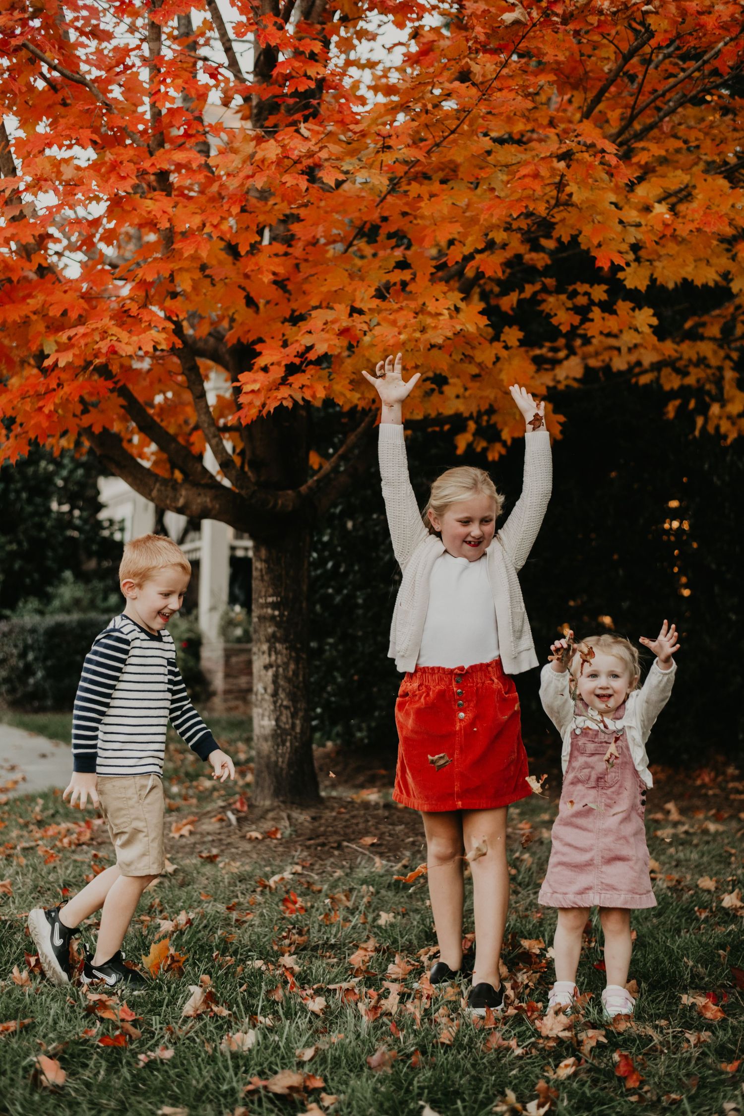 Children playing together outdoors under vibrant orange autumn maple trees on a crisp fall day.