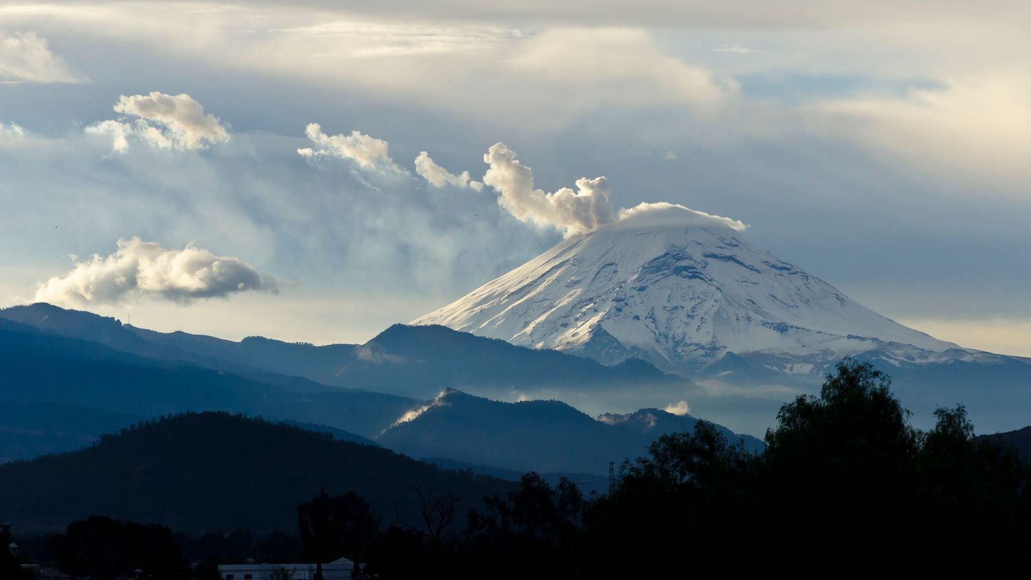 © Cove Media LLC. All Rights Reserved. It is Illegal to copy or use our images without written permission. (919-510-1233)