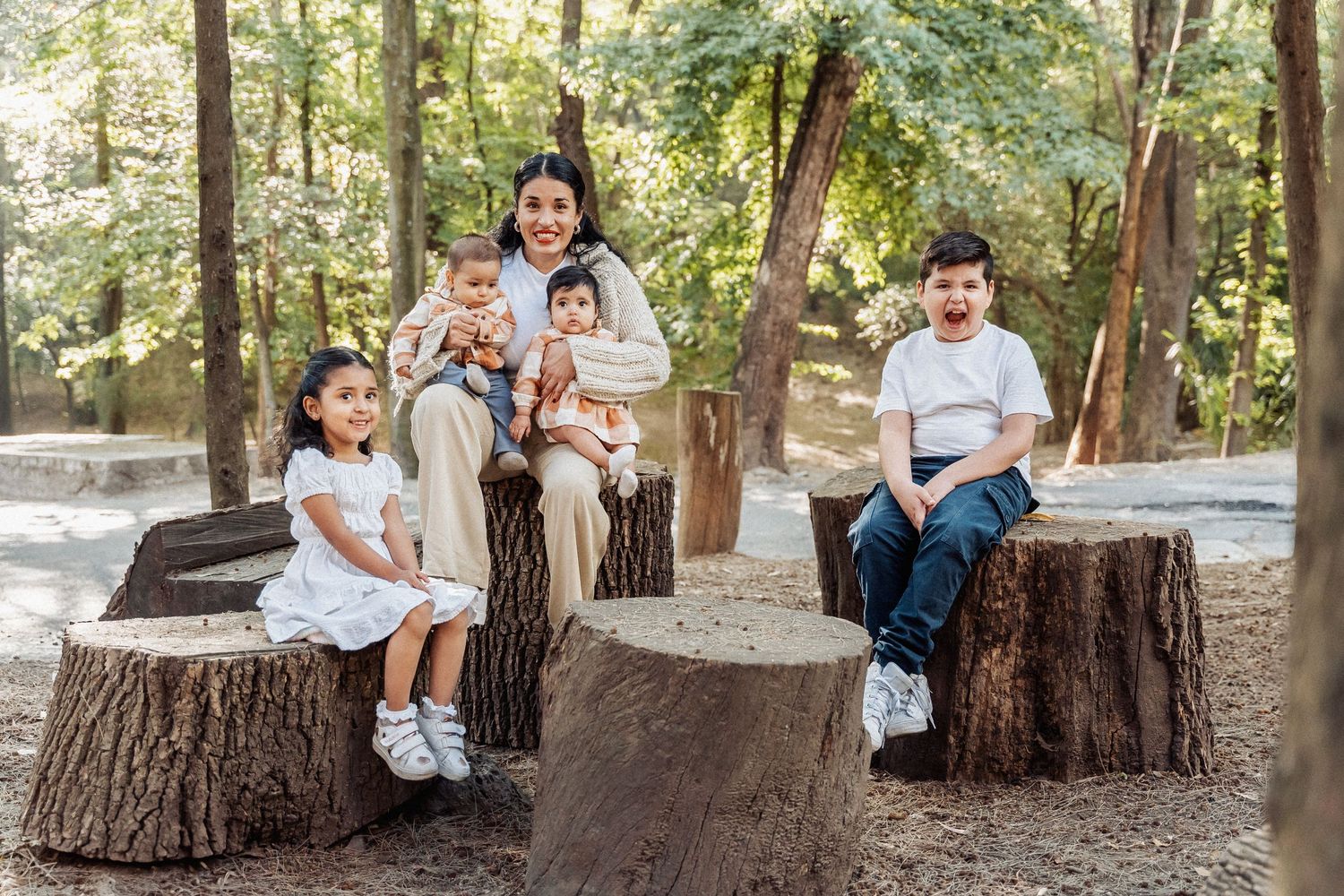 A family sits together on tree stumps in a sunlit wooded area during an outdoor photo session.