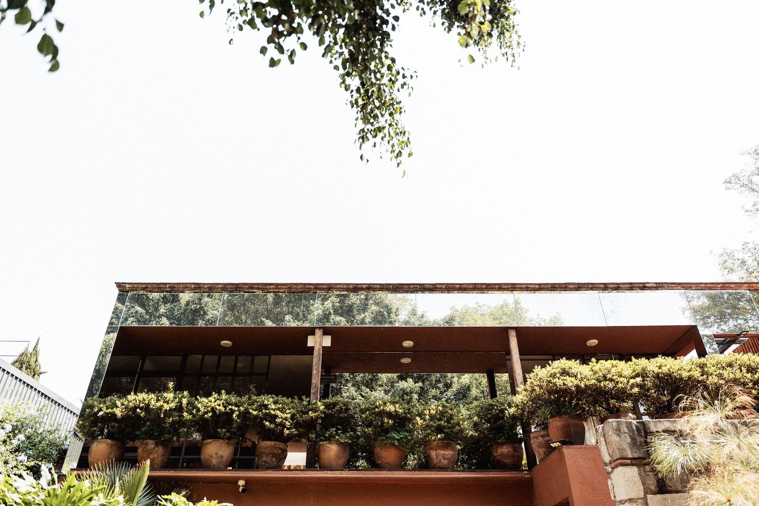 A rustic wooden deck with potted plants and foliage along the railing against a bright sky.