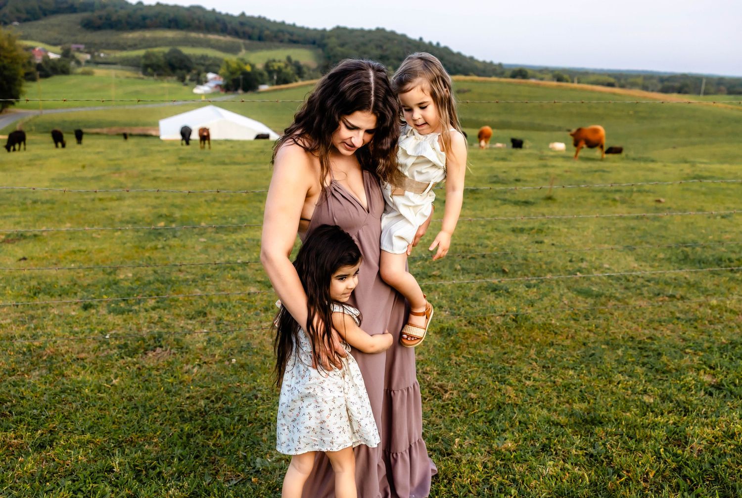 A candid family moment captured in a sunlit field with grazing cattle in the distance.