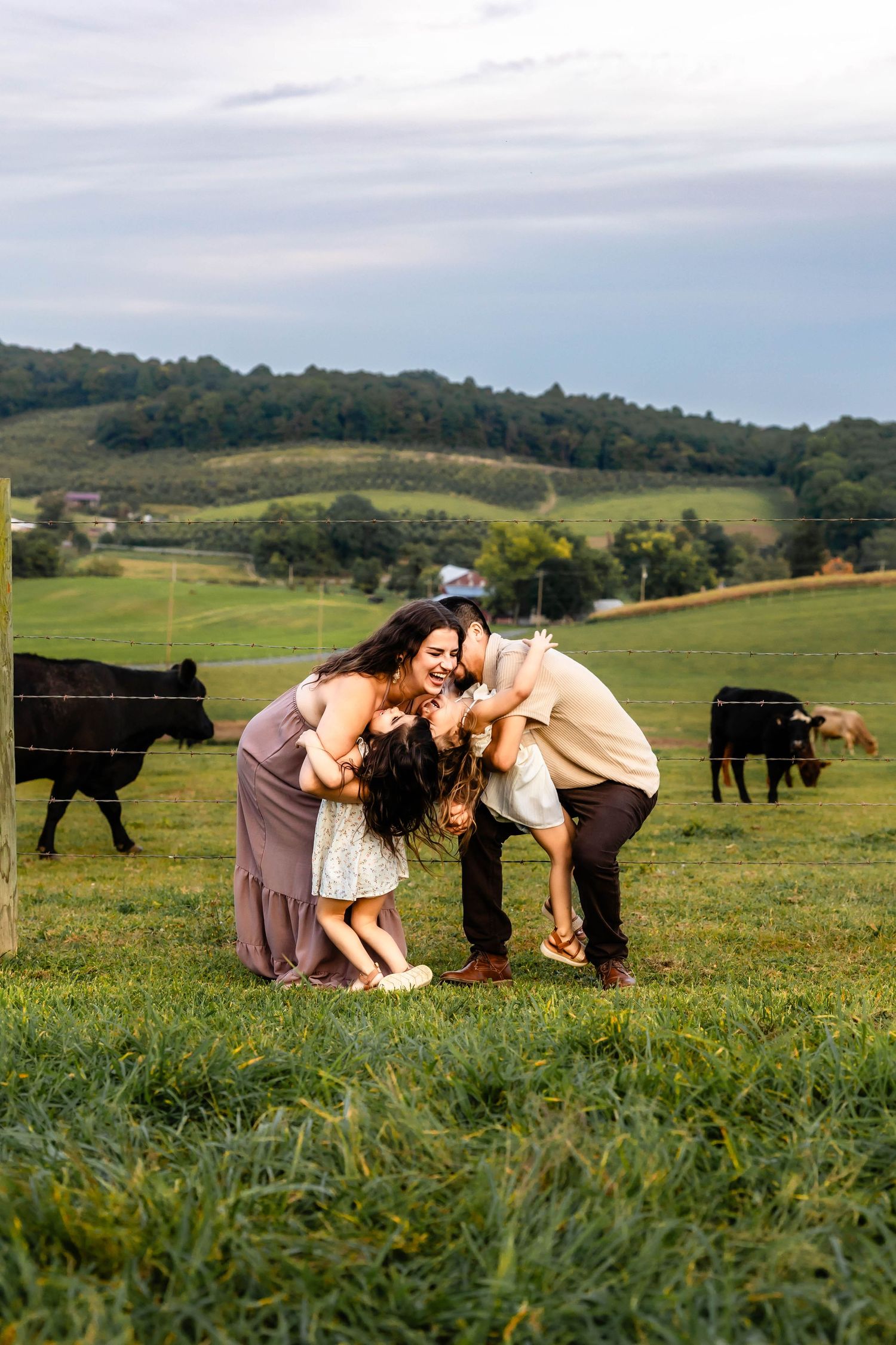 A family sharing a playful moment on a hillside farm with black cows grazing in the distance.