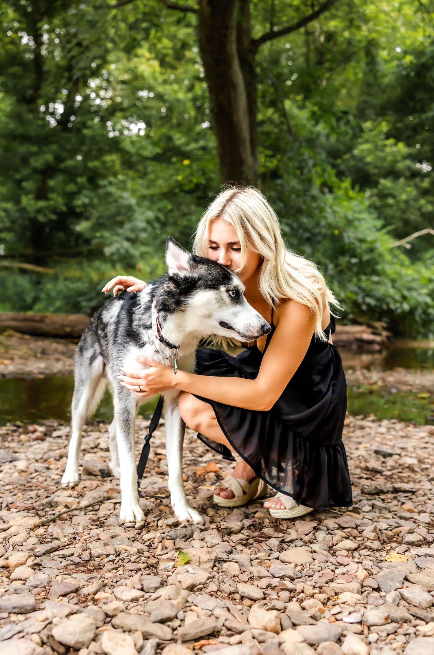 A Husky dog receives affection while standing on a rocky creek bank.