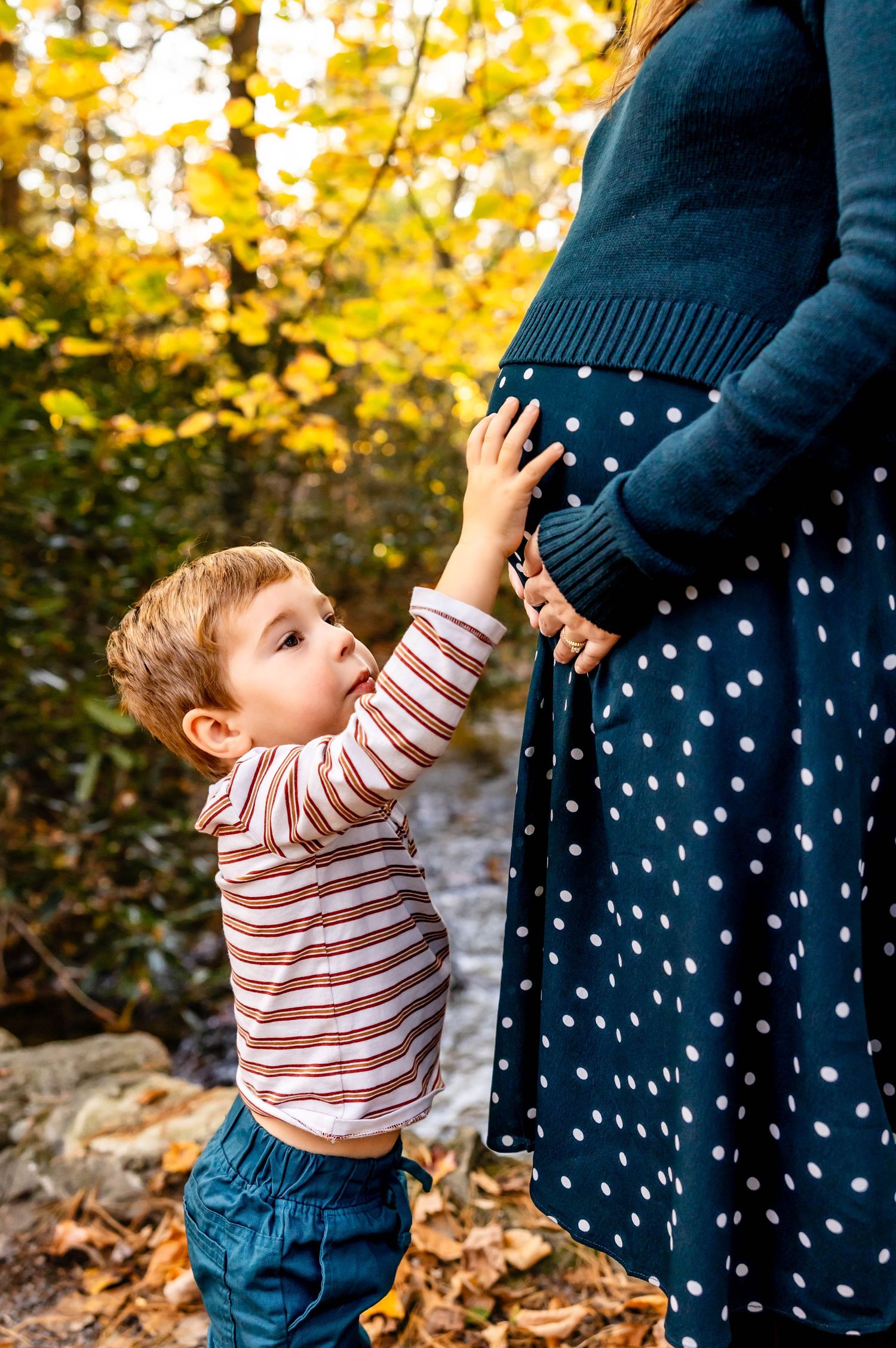 Young child in striped shirt touches parent's growing belly in autumn setting.