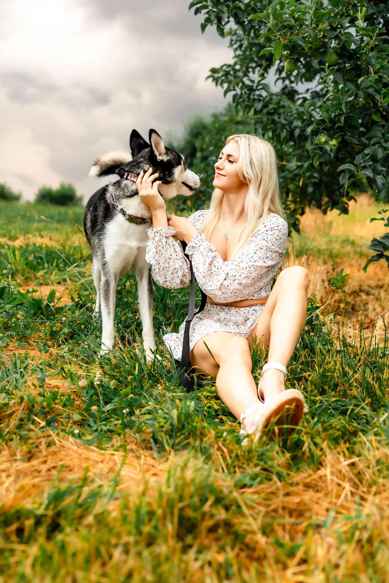 A Husky dog stands next to a person in white dress sitting on grassy ground.