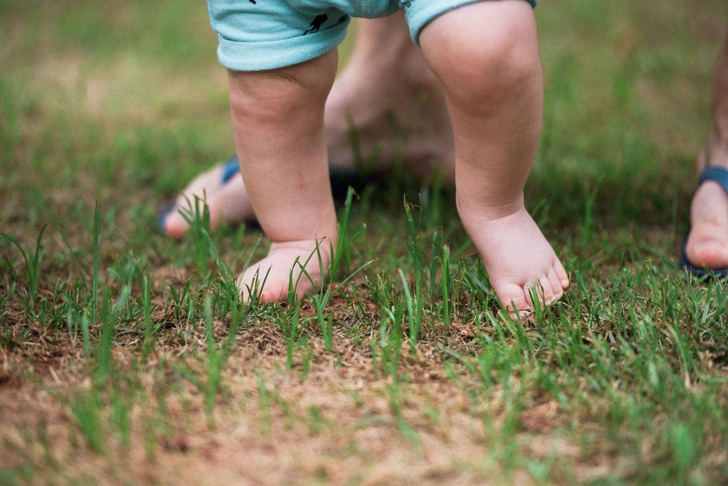 Close-up of bare feet standing on grass in summer.
