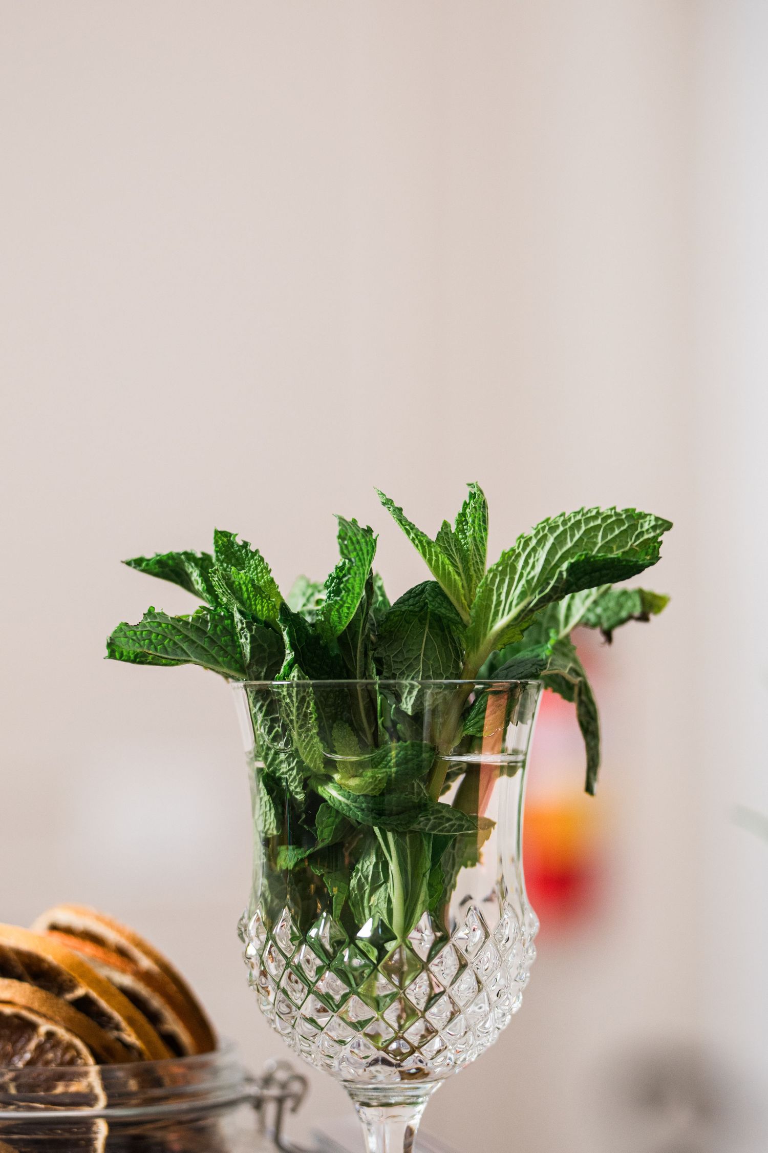 Fresh mint leaves arranged in a crystal glass vase against a light background.
