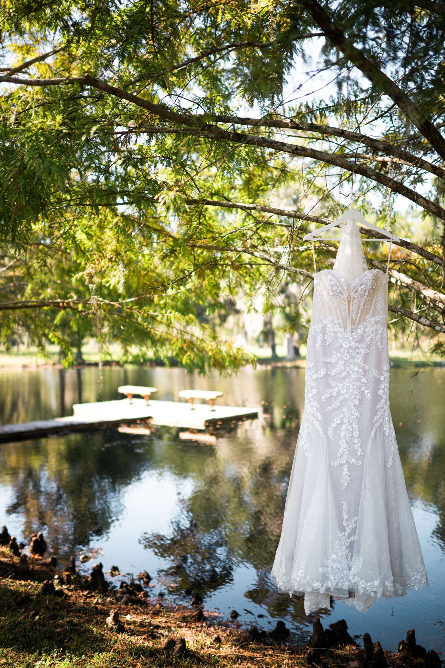 White wedding dress hanging from tree branches over tranquil pond with sunlit foliage.