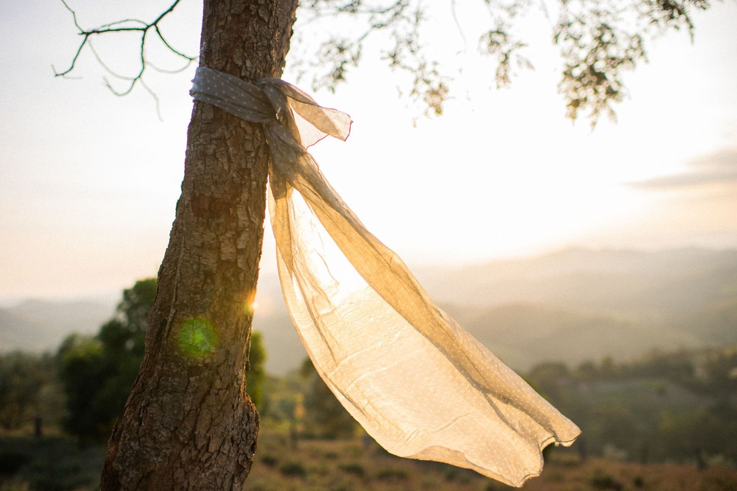 Flowing fabric catches sunlight beneath a tree with mountains in background.