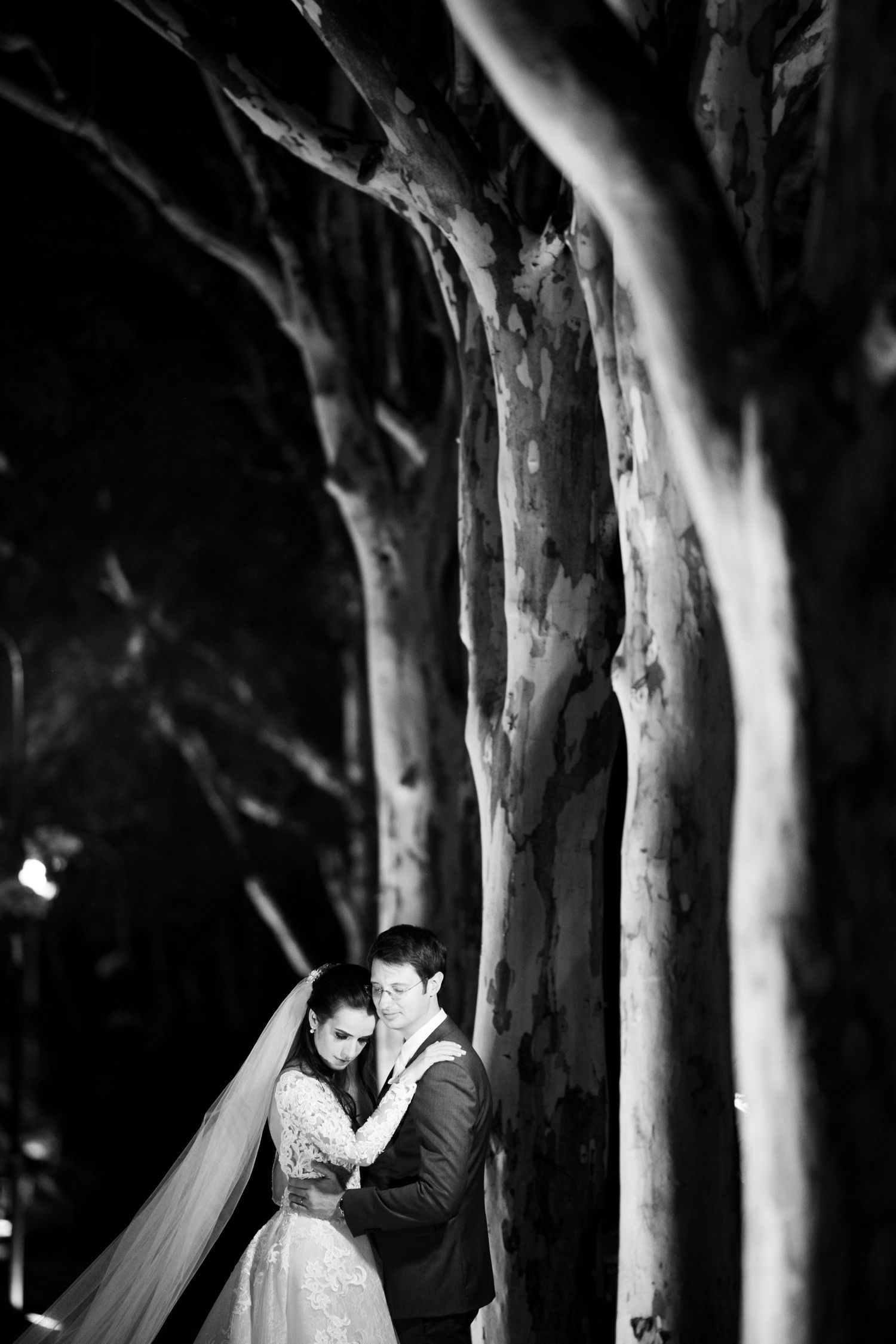 Dramatic black and white portrait of couple among tall trees in wedding attire.