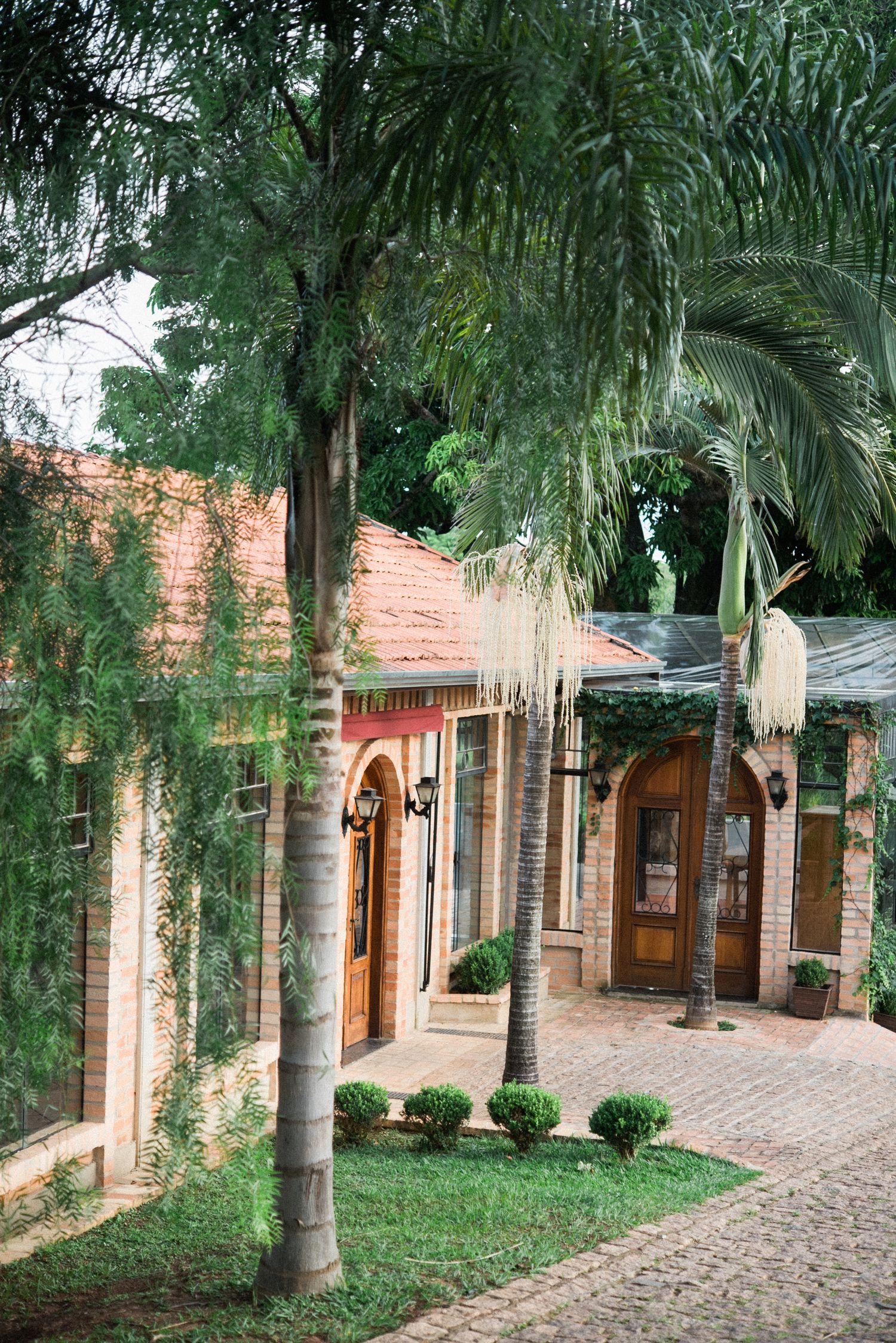 Palm tree-lined walkway with rustic brick buildings and wooden doors.