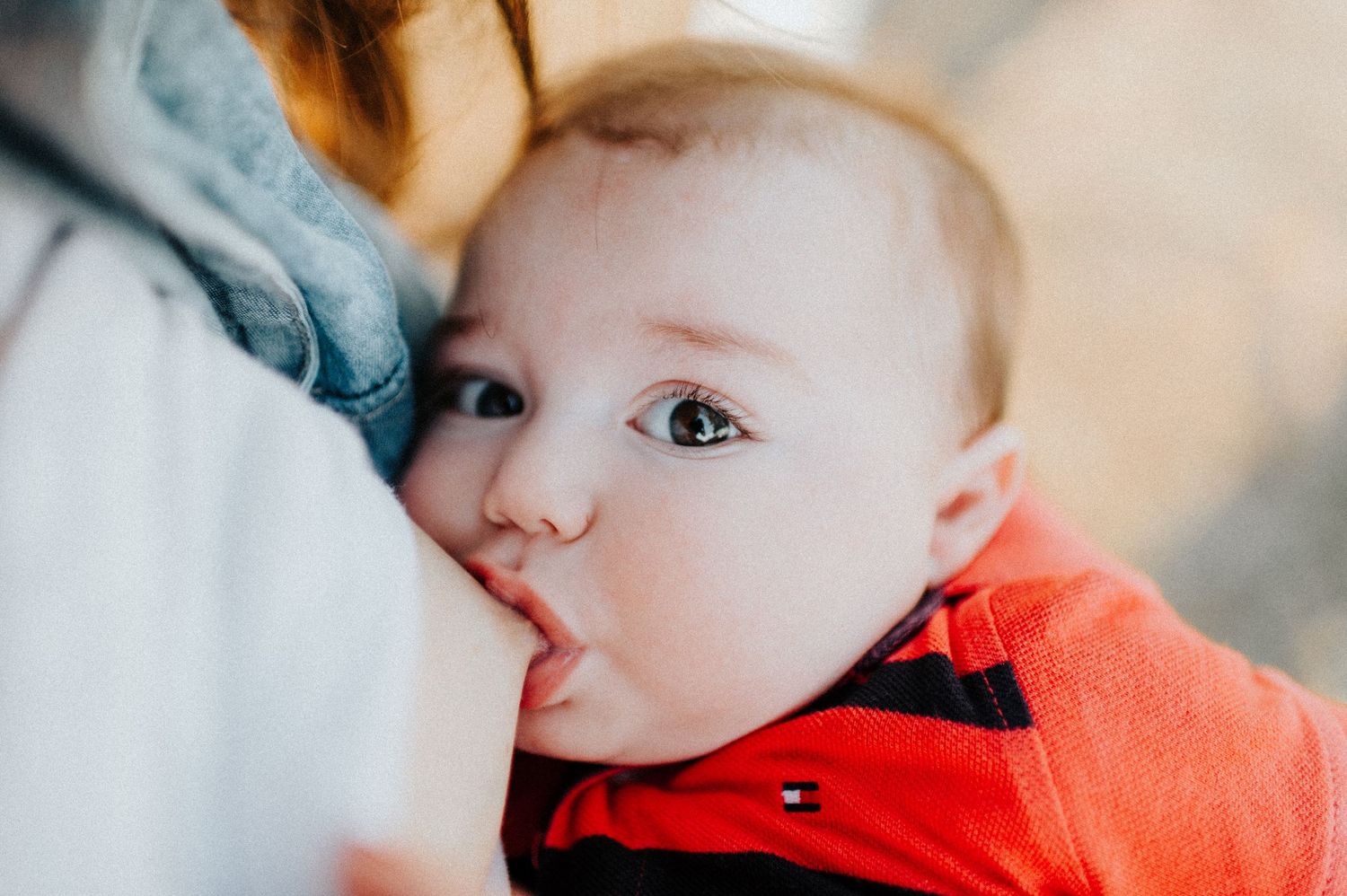 Baby in red outfit during intimate family photo session.