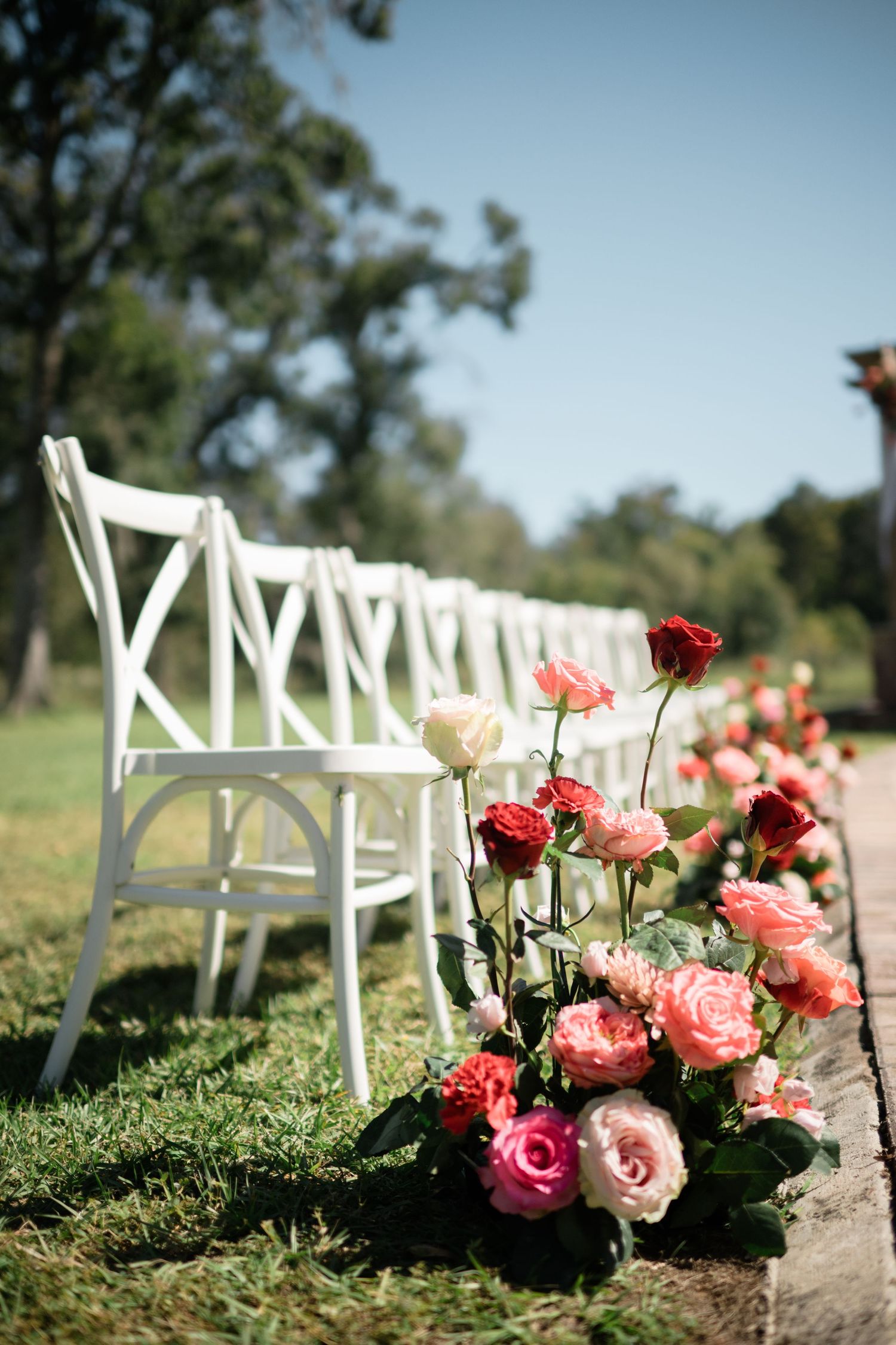 White ceremony chairs lined up with pink and red rose floral arrangements.