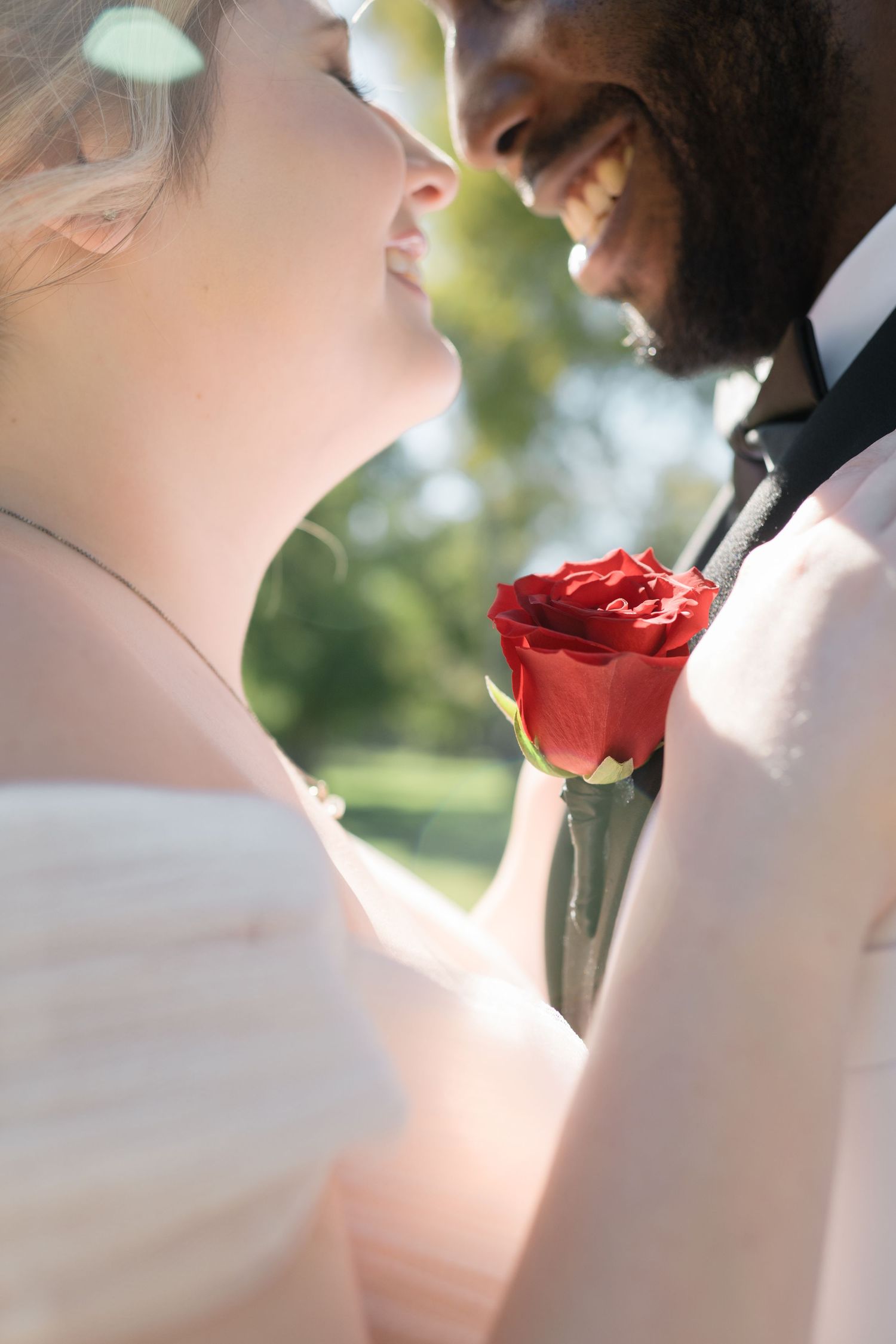 Close-up romantic wedding moment with a red rose and soft natural lighting.