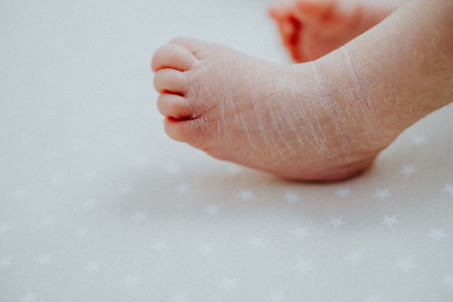 Artistic macro shots of baby hands and fingers against white background.