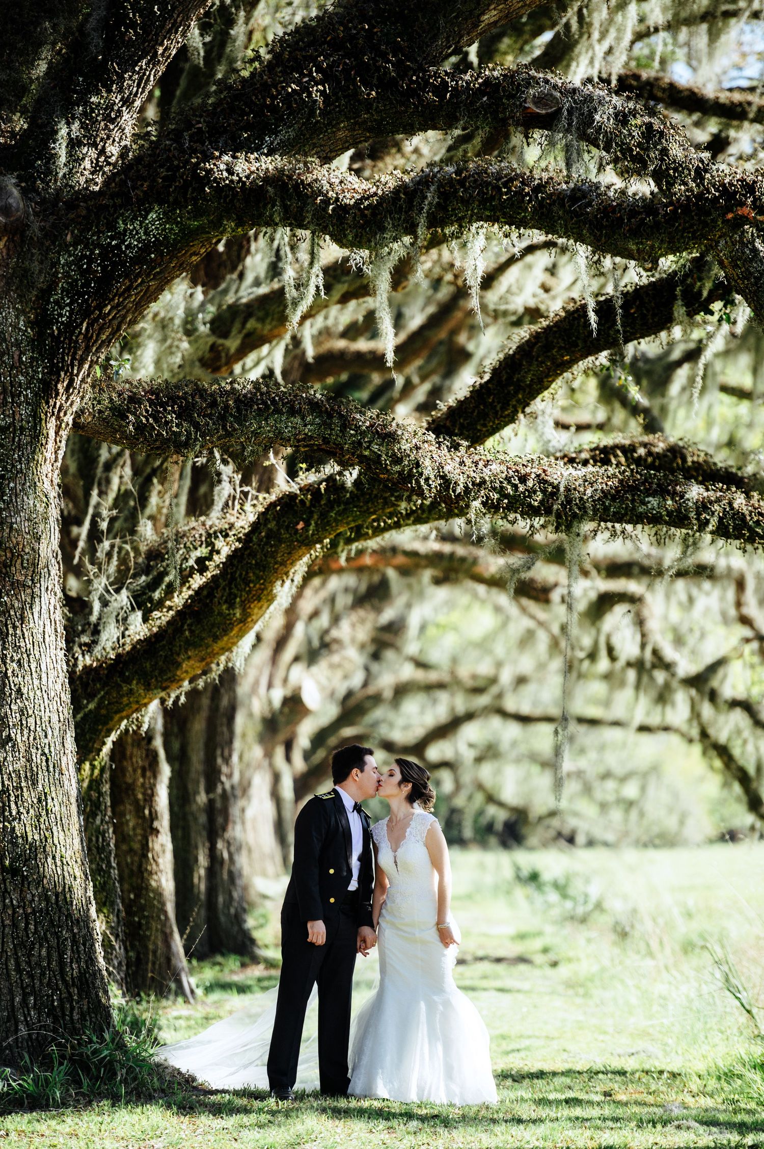 Wedding couple standing under majestic oak trees draped with Spanish moss in natural lighting.