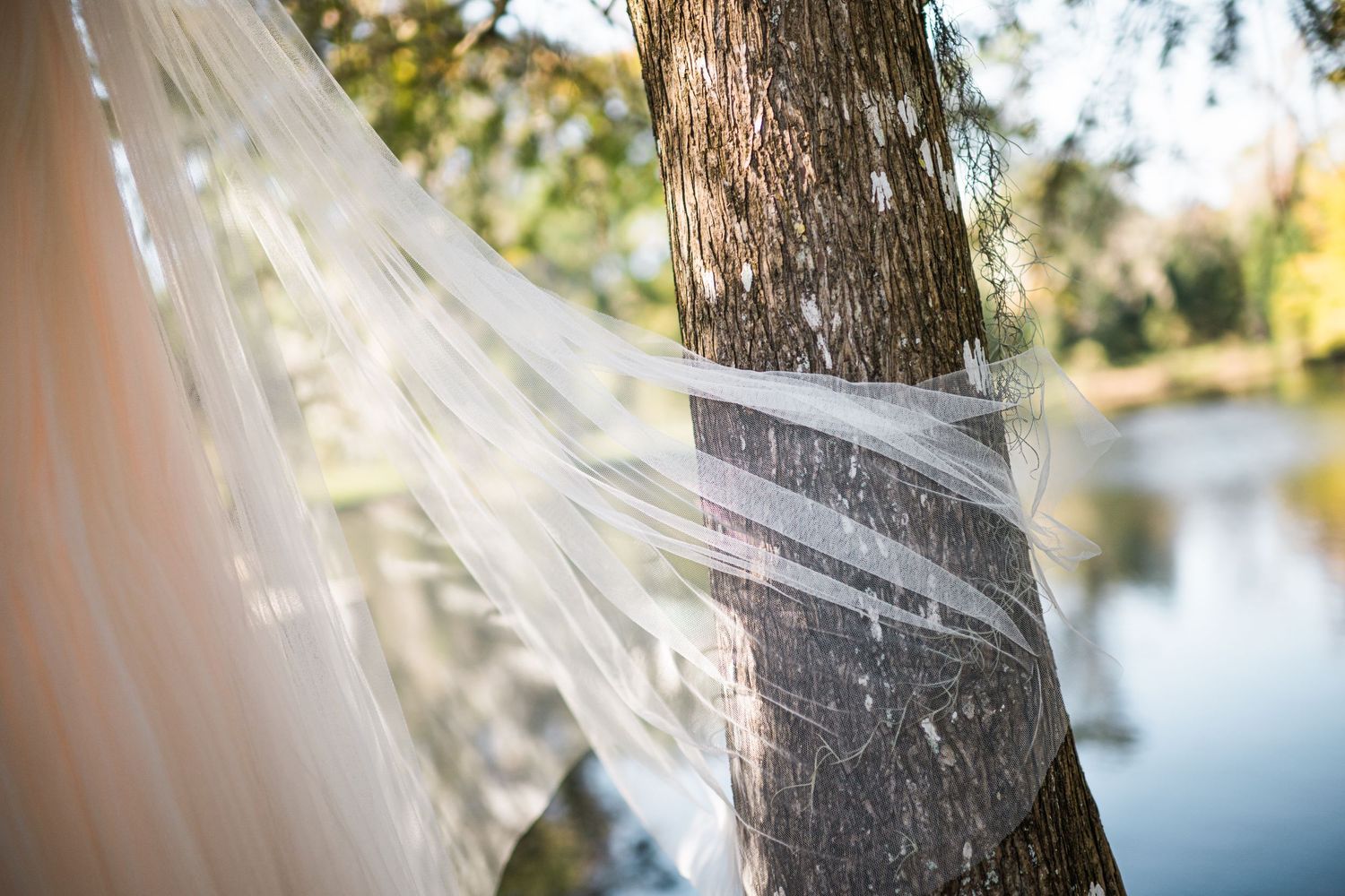 Wedding veil flowing against tree trunk with lake in background.