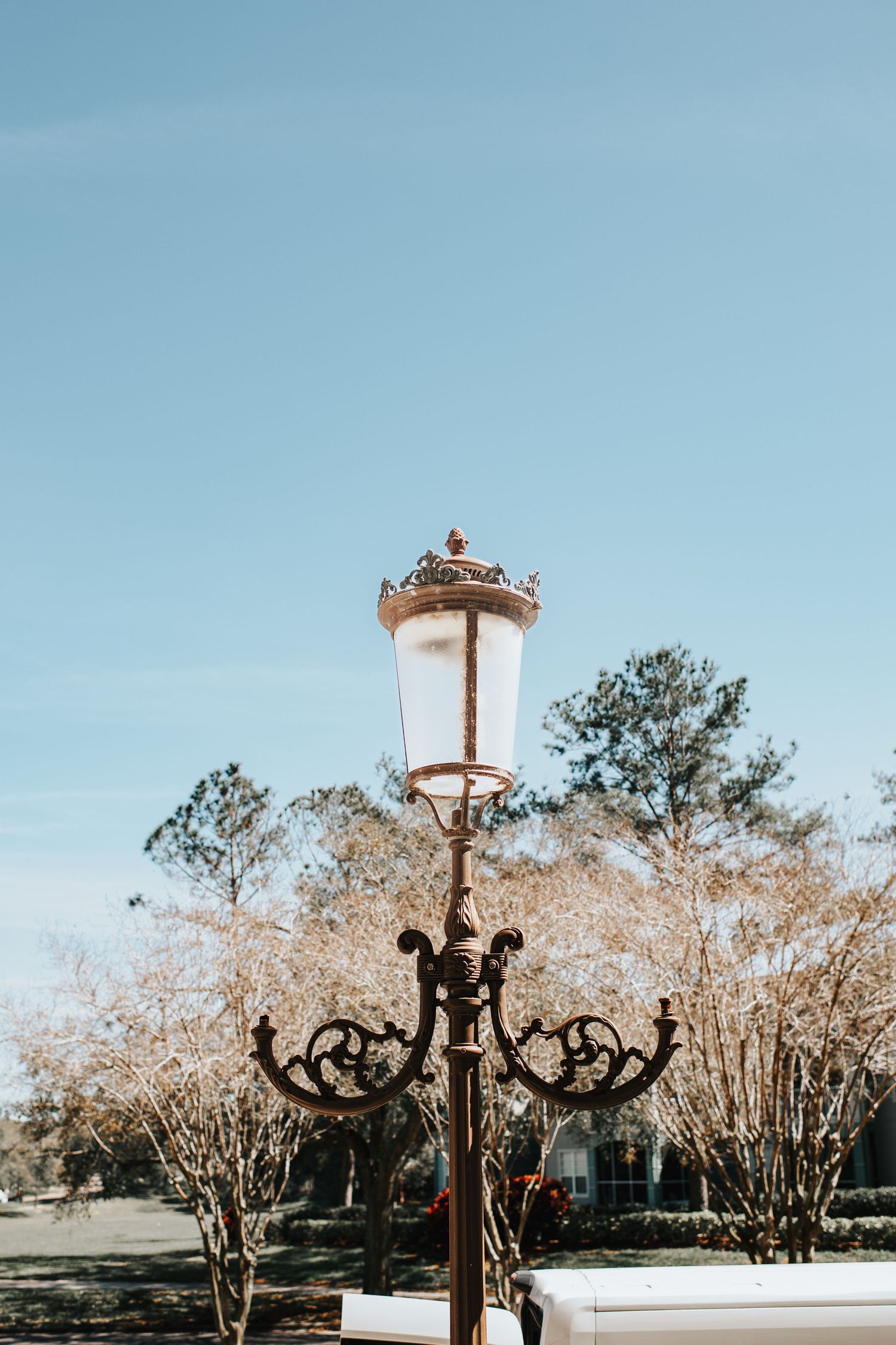 Ornate vintage street lamp with decorative ironwork against blue sky and trees.
