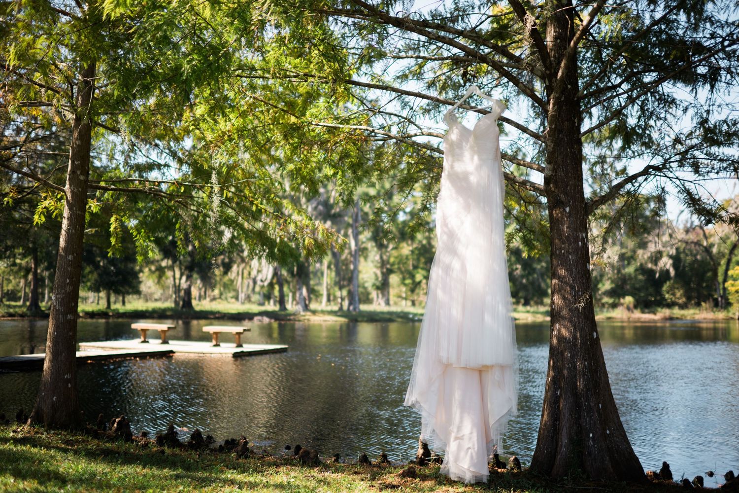White wedding dress hanging from tree branch overlooking serene lake view.