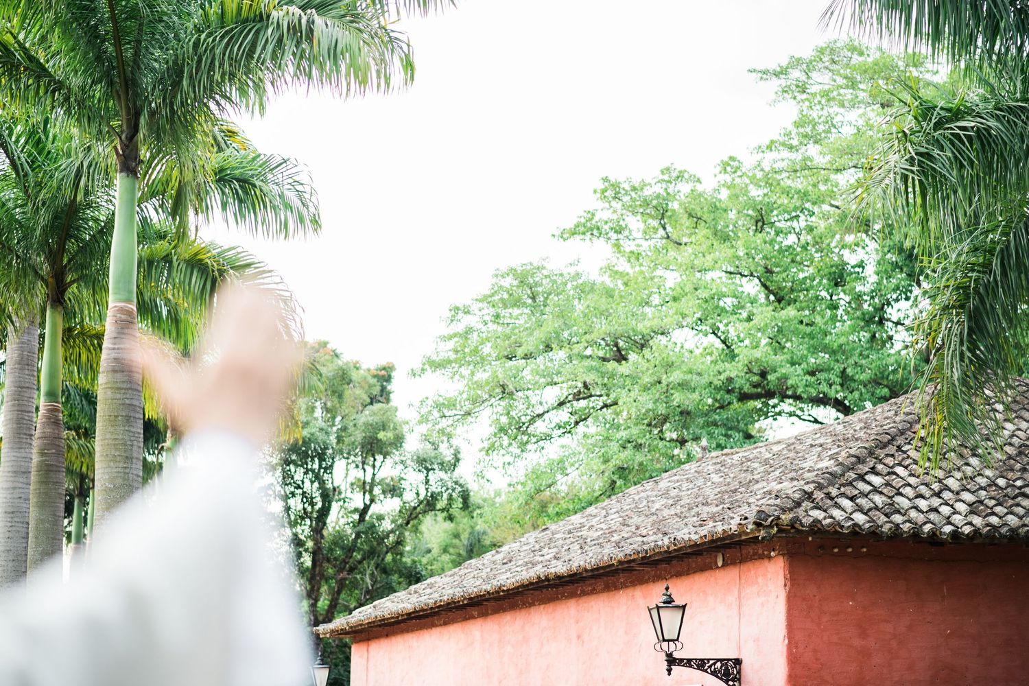 A scenic outdoor wedding venue with palm trees and a coral-colored building in the background.