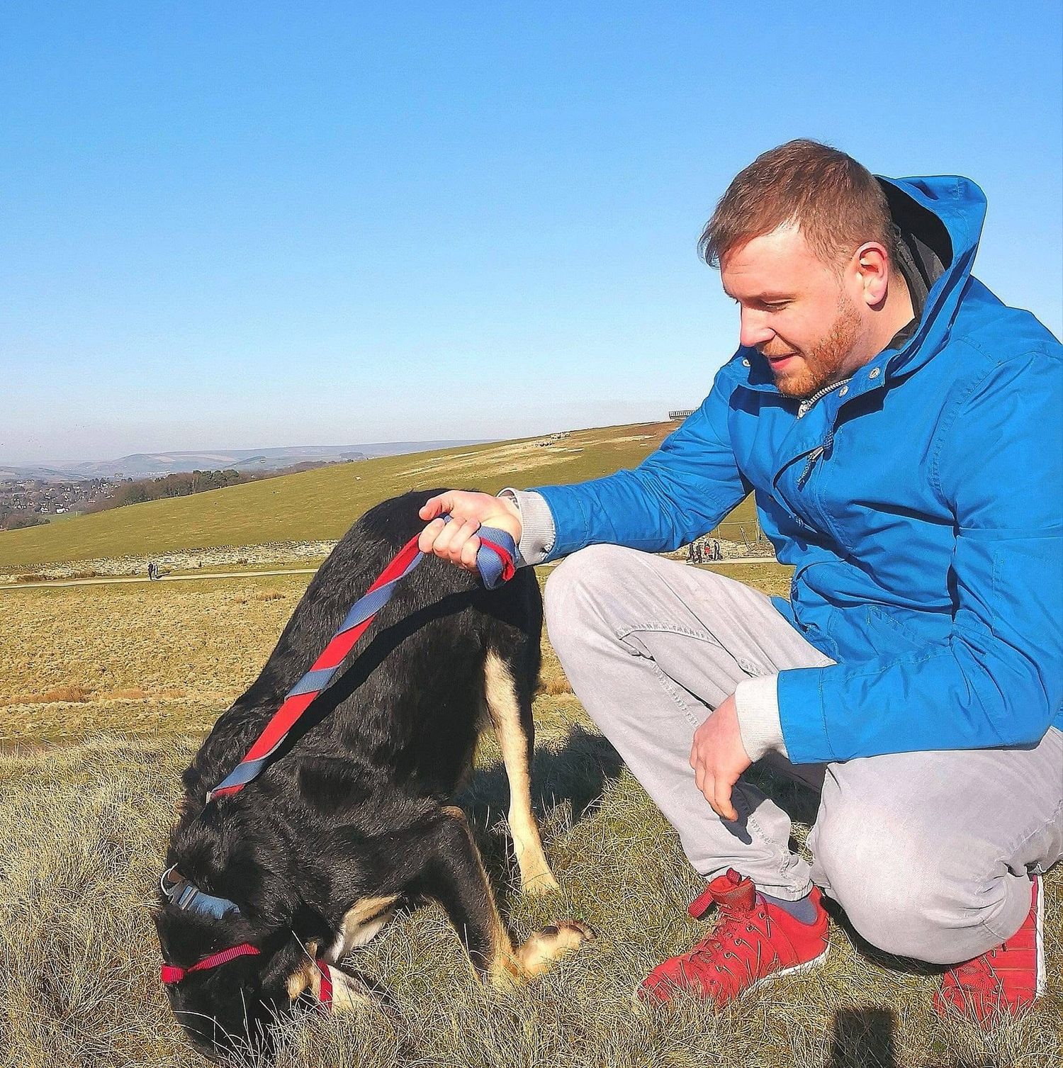 Person in blue jacket pets black and tan dog on sunny hillside terrain.
