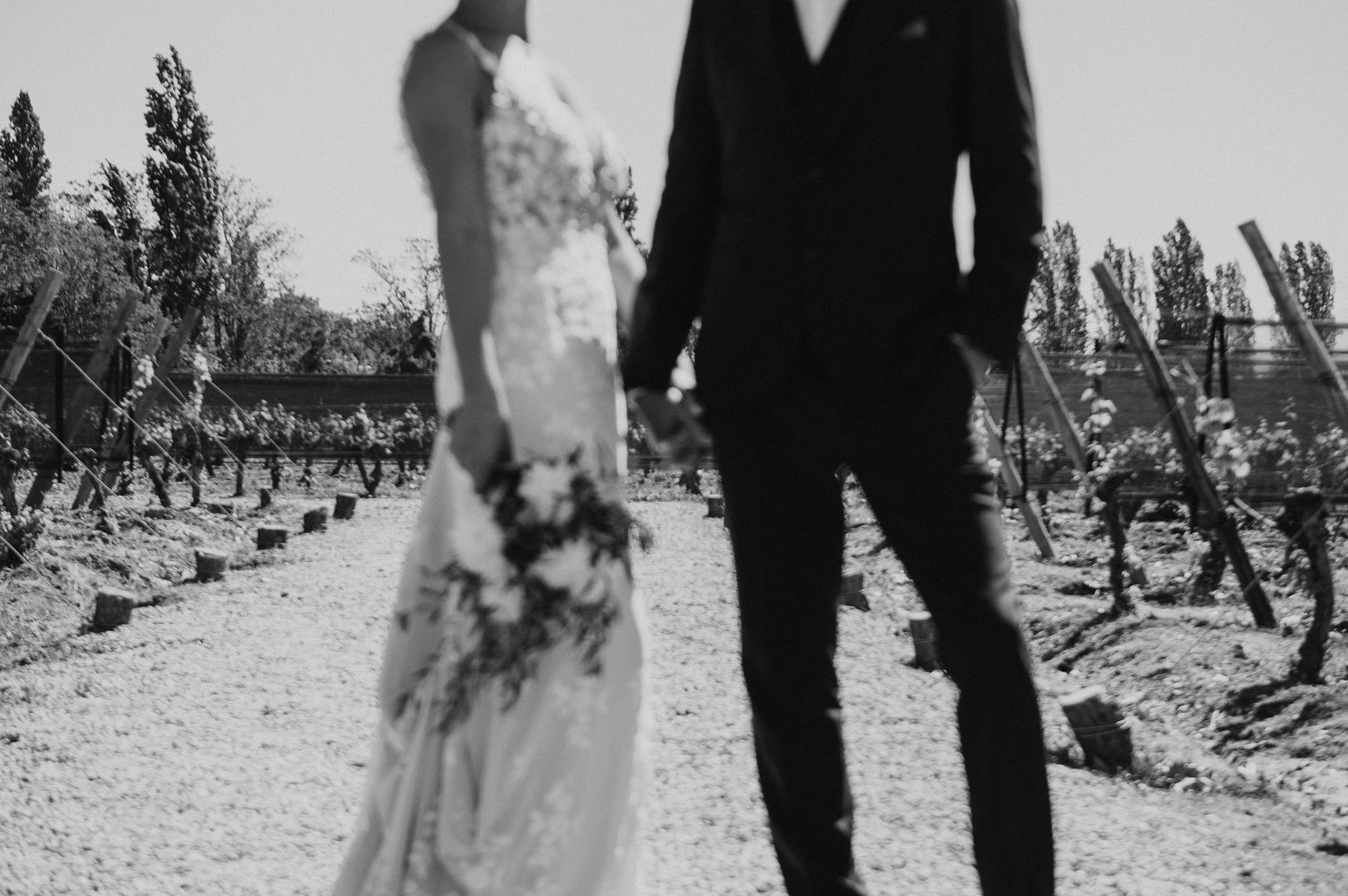 Black and white wedding photo showing couple standing in a vineyard with a dramatic silhouette effect.