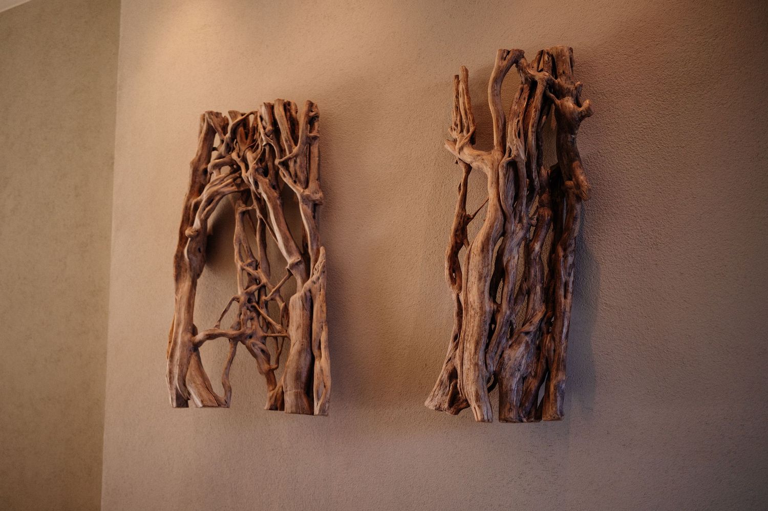Two rustic driftwood wall art pieces mounted on a beige wall, featuring natural twisted branches in vertical arrangements.