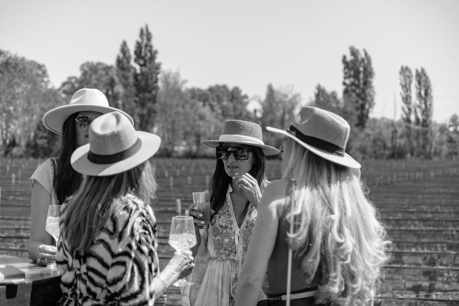 Group of friends in wide-brimmed hats enjoying wine while gathered outdoors at a vineyard in black and white.