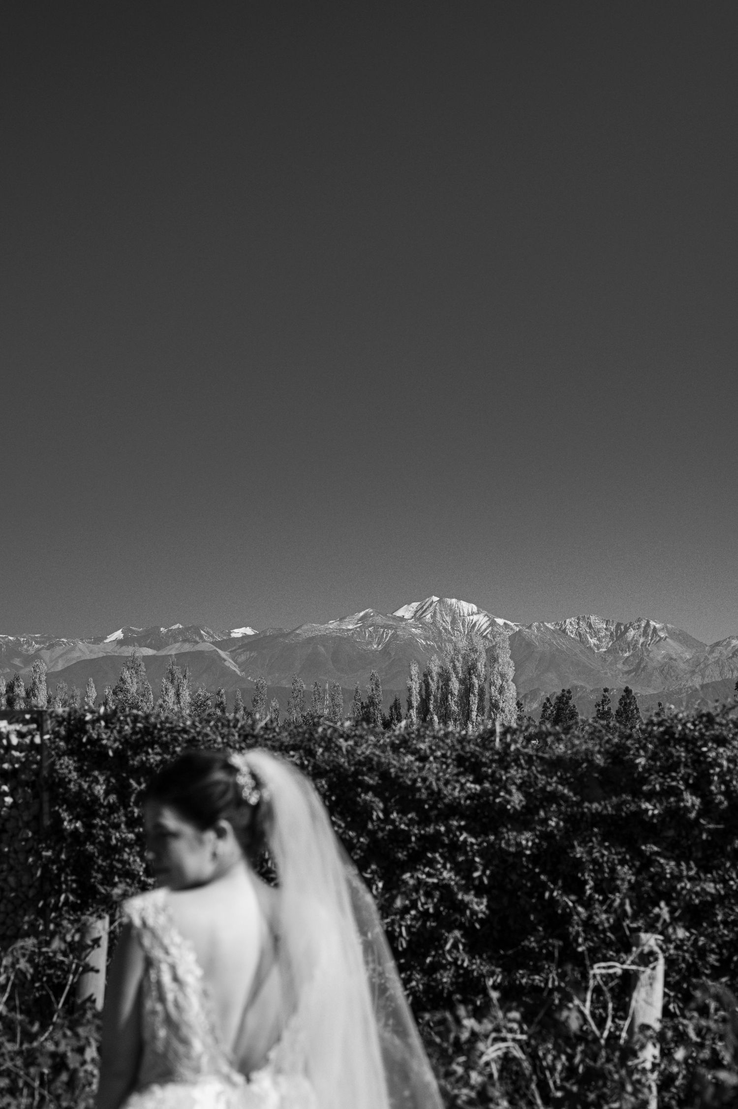 novia desenfocada y de fondo la cordillera nevada frente a un viñedo hermoso