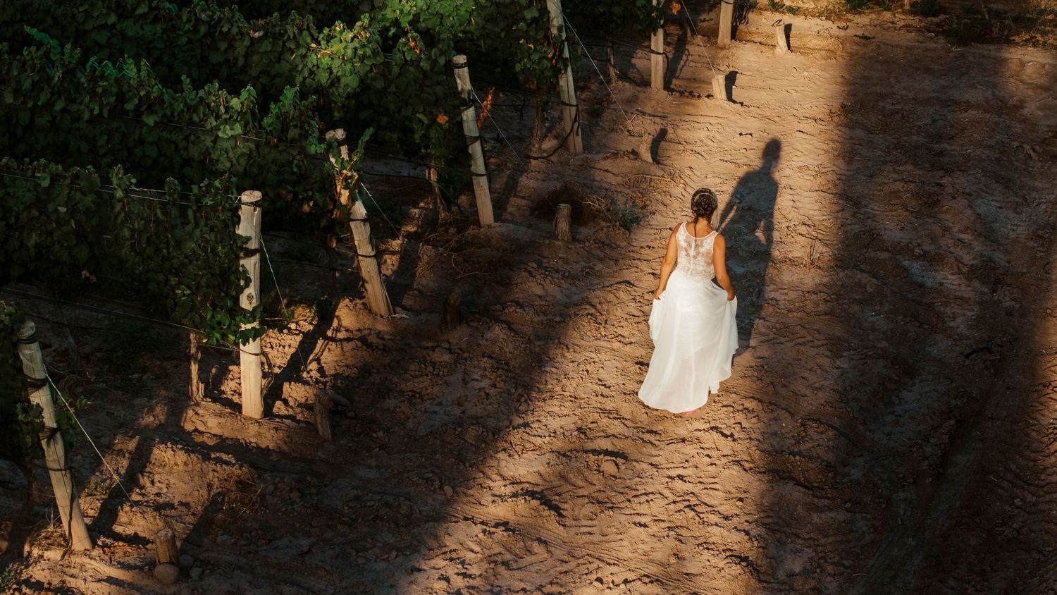 AUREO-STUDIO-BODA-DESTINO-BODEGA-VINO-MENDOZA-LOVE-WEDDING-PLANNER-ORGANIZACIÓN-PLANIFICACIÓN-ESTILO-CASAMIENTO