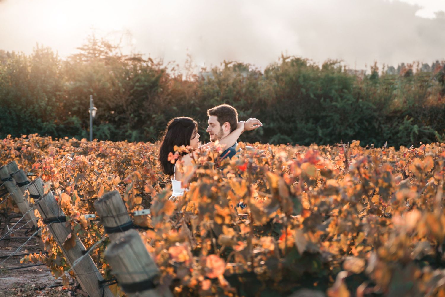 A couple embraces in a vineyard at golden hour with autumn-colored vines surrounding them in warm sunlight.
